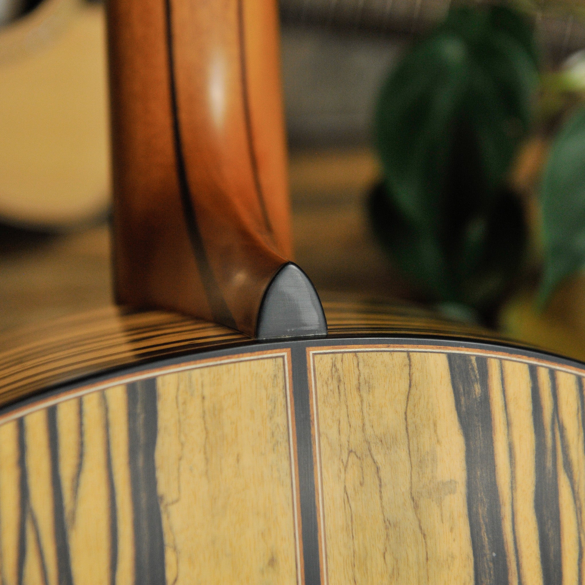 Lowden S-50 Royal Ebony & Sinker Redwood