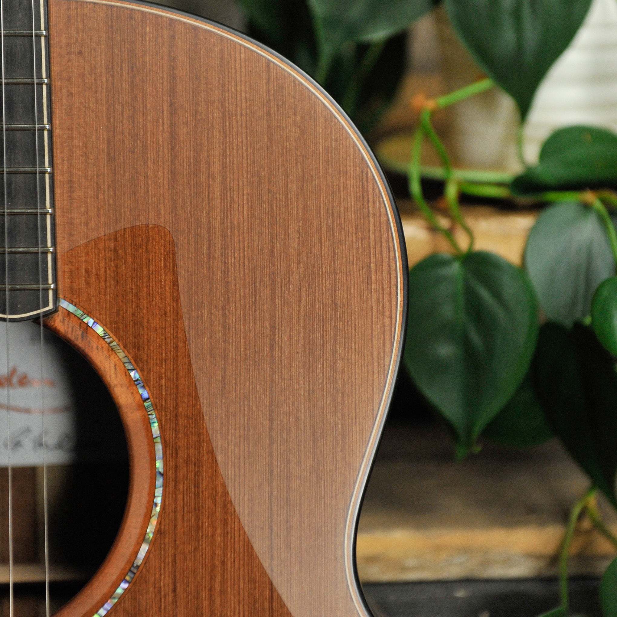 Lowden S-50 Royal Ebony & Sinker Redwood