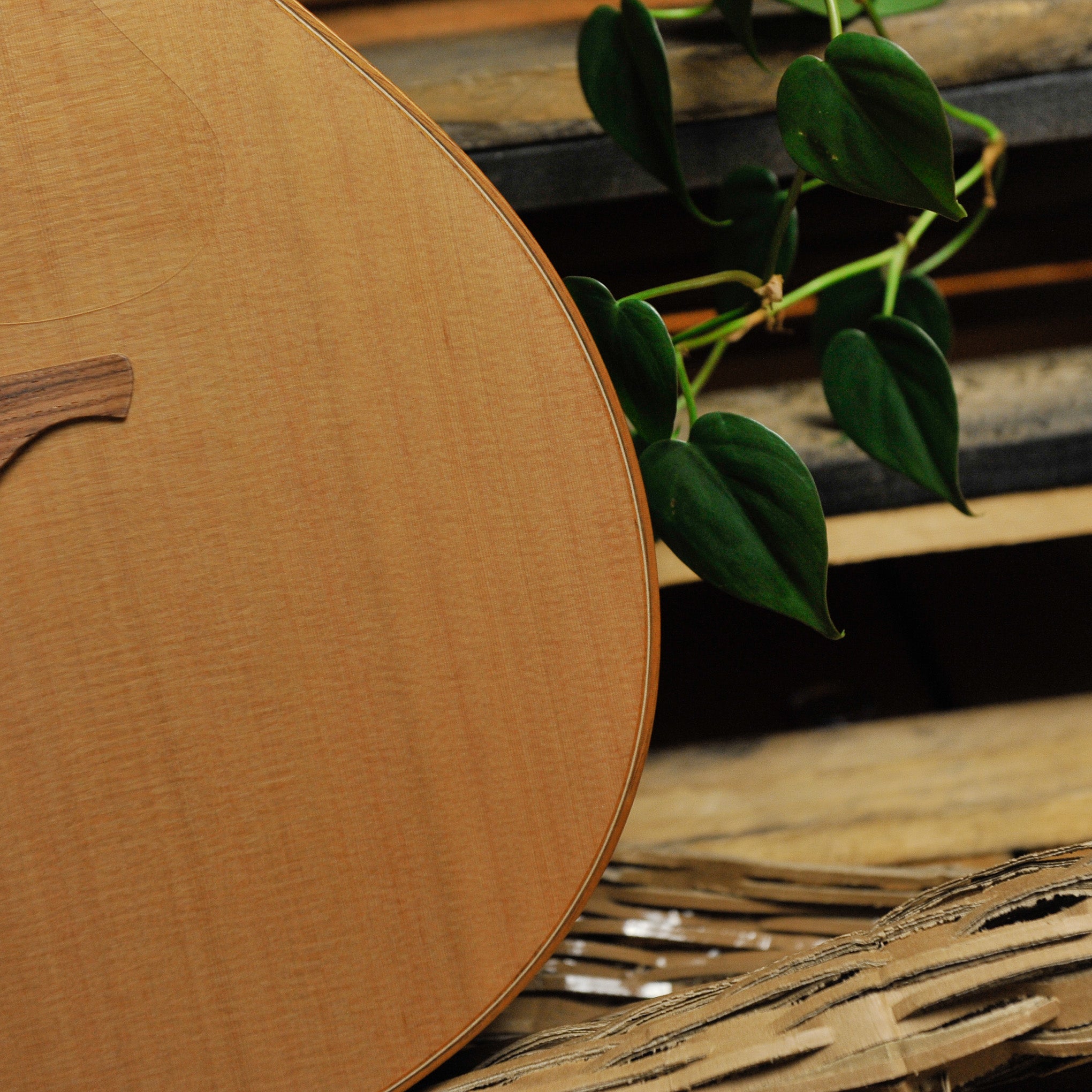 Lowden O-25C Indian Rosewood & Cedar w/Cutaway