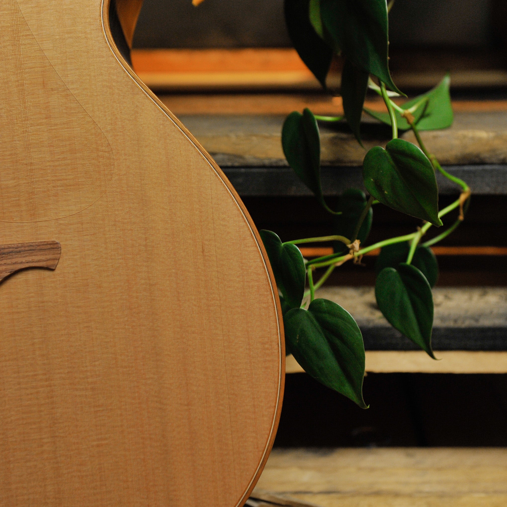 Lowden O-25C Indian Rosewood & Cedar w/Cutaway