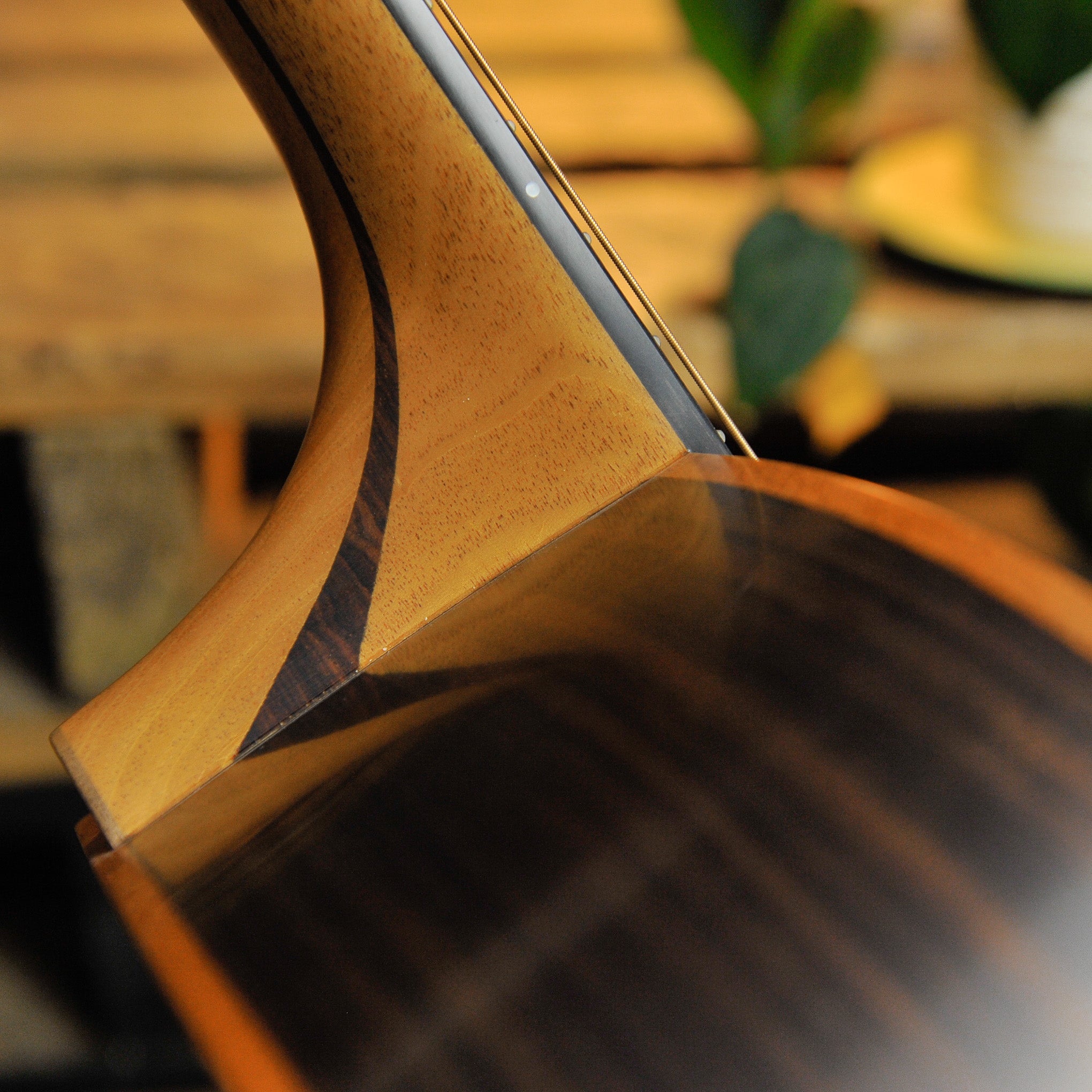 Lowden O-25C Indian Rosewood & Cedar w/Cutaway