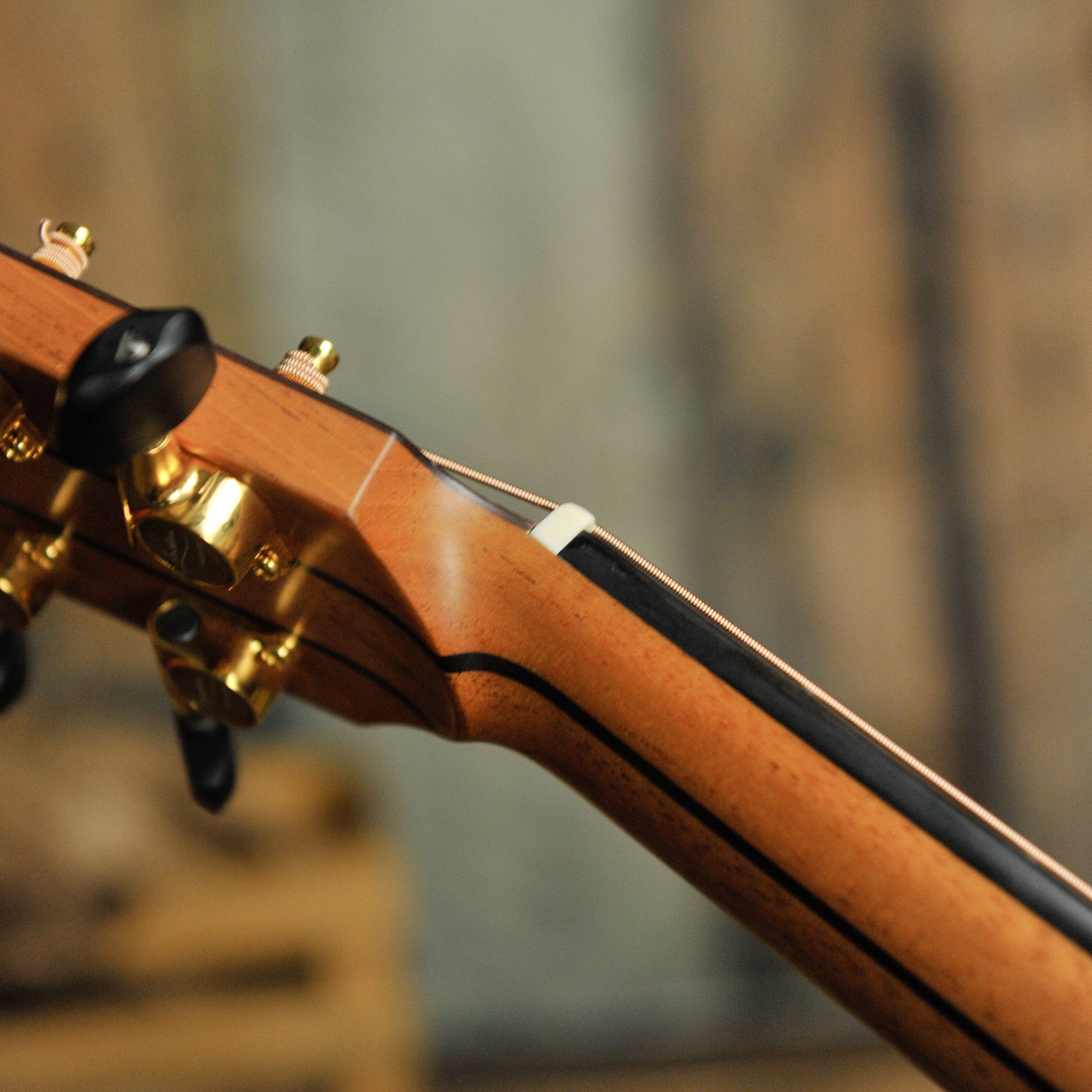 Lowden 32SE Stage Edition Indian Rosewood & Spruce w/Cutaway