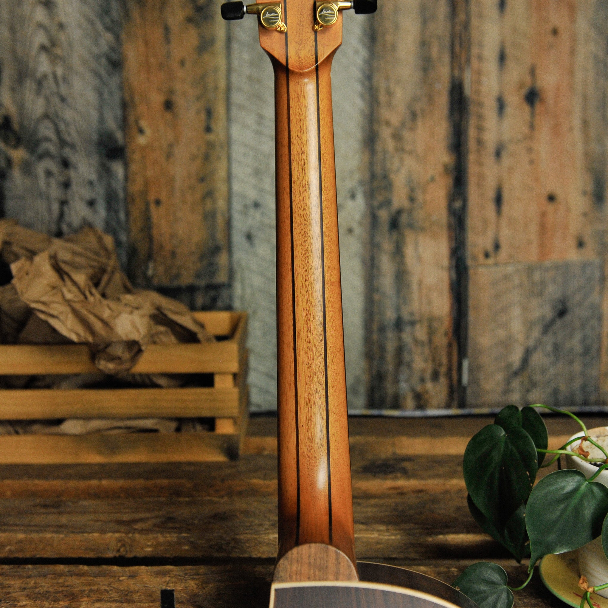 Lowden 32SE Stage Edition Indian Rosewood & Spruce w/Cutaway