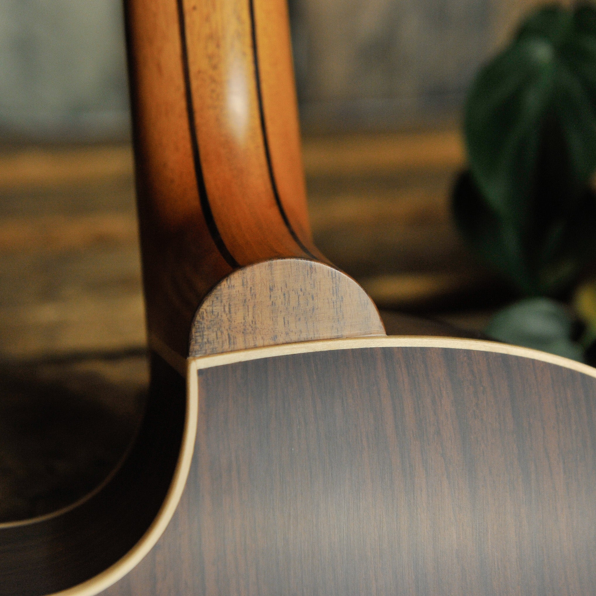 Lowden 32SE Stage Edition Indian Rosewood & Spruce w/Cutaway