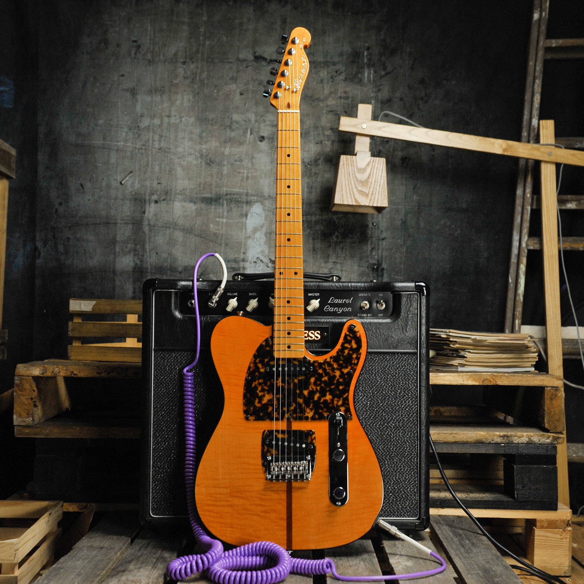 HS Anderson Mad Cat V3 Re-Issue Electric Guitar w/Case