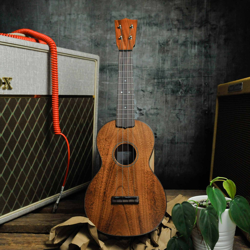 Martin Centennial 1 Ltd Edition Concert Ukulele Mahogany w/Bag