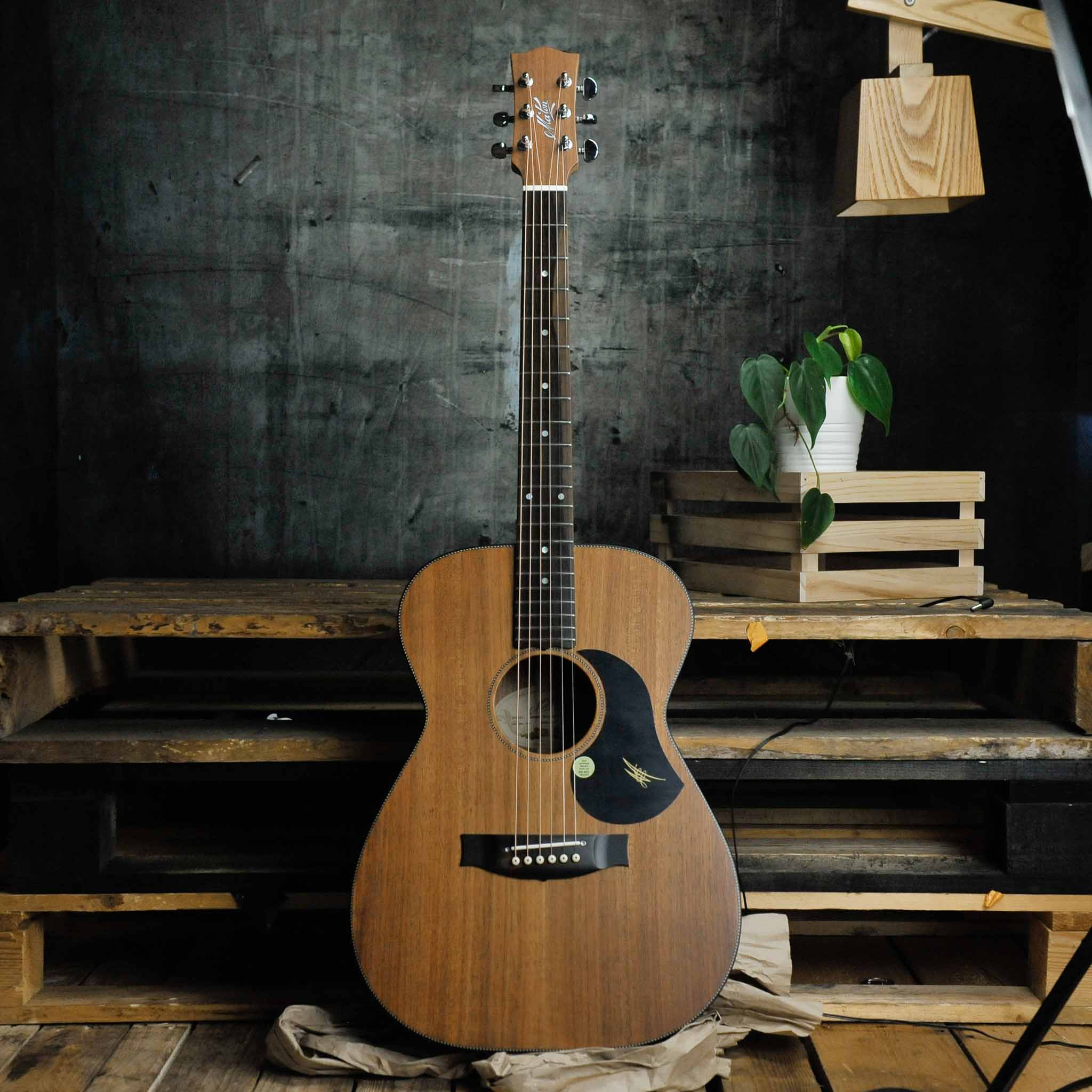 Maton EBW808 Blackwood Series Acoustic Electric Guitar