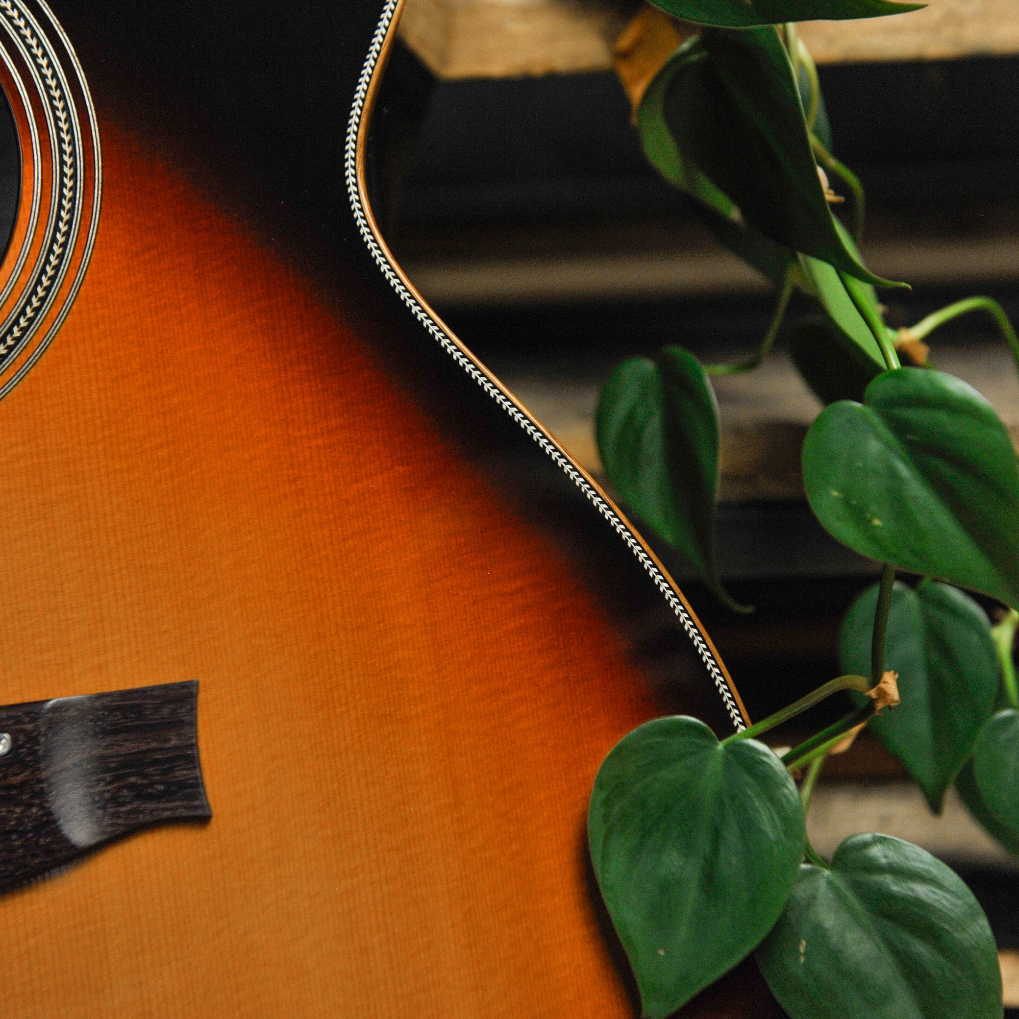 Maton Master Built The T.E. Personal Jumbo Sunburst Acoustic