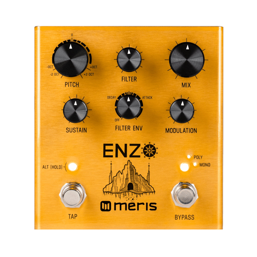 Meris Enzo Multi-Voice Instrument Synthesizer Pedal