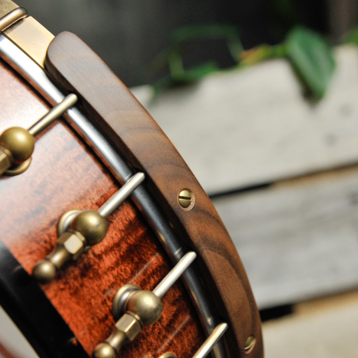 Ome Jubilee 12" 5-String Open Back Banjo