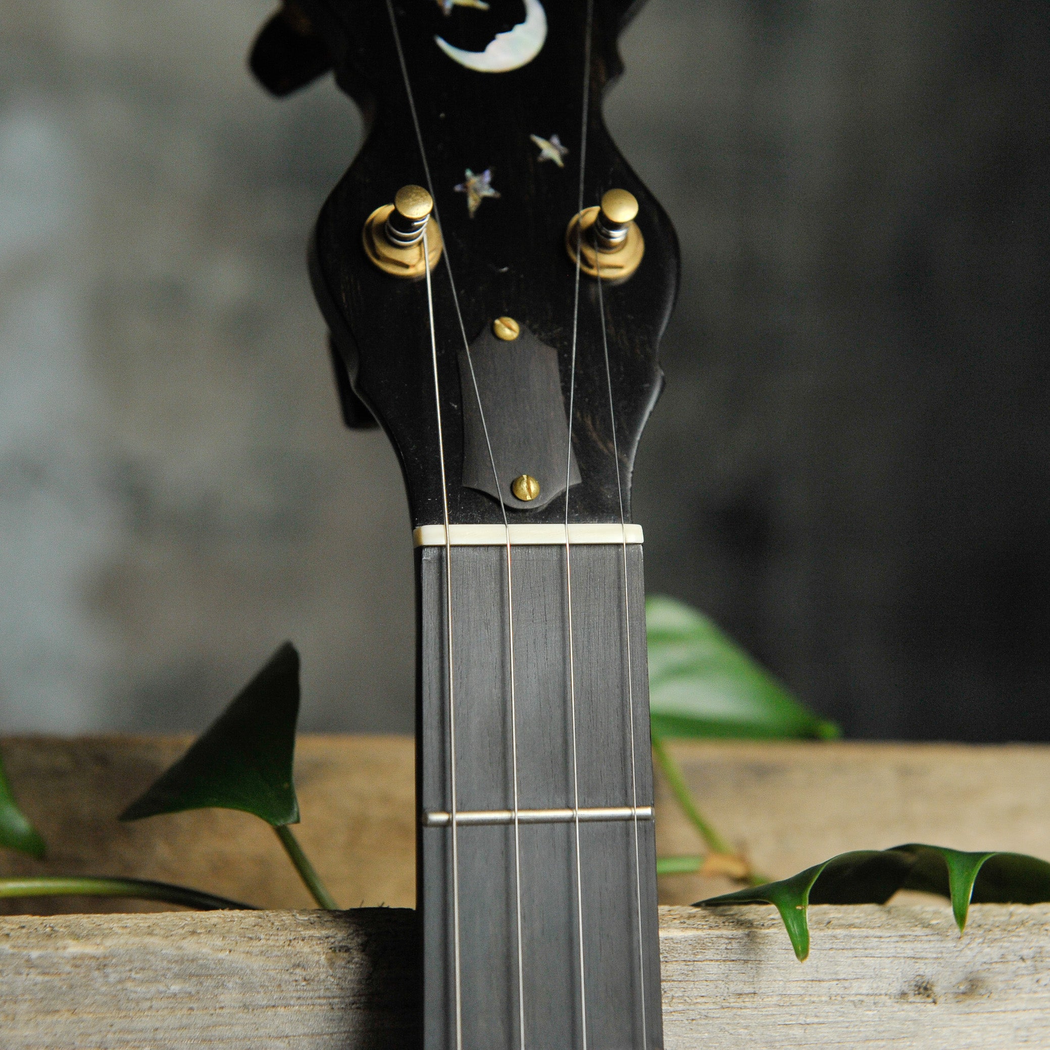 Ome Jubilee 12" 5-String Open Back Banjo