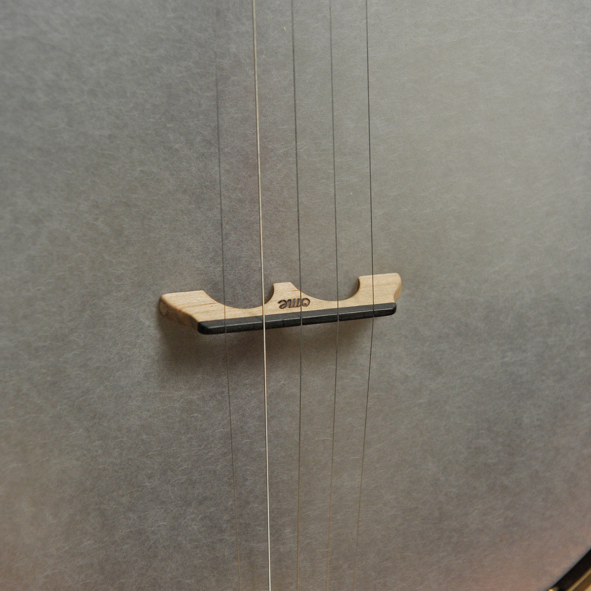 Ome Jubilee 12" 5-String Open Back Banjo
