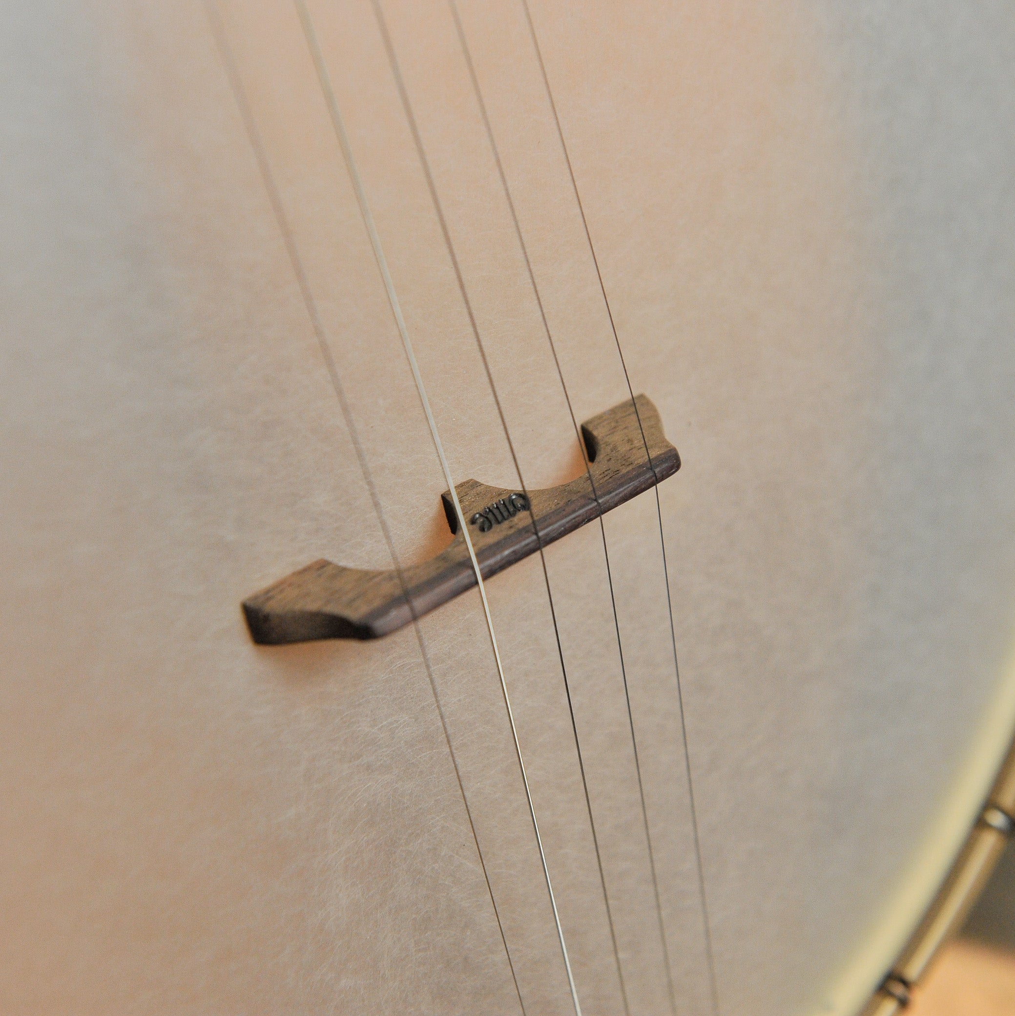 Ome Juniper 12" 5-String Open Back Banjo #226-075