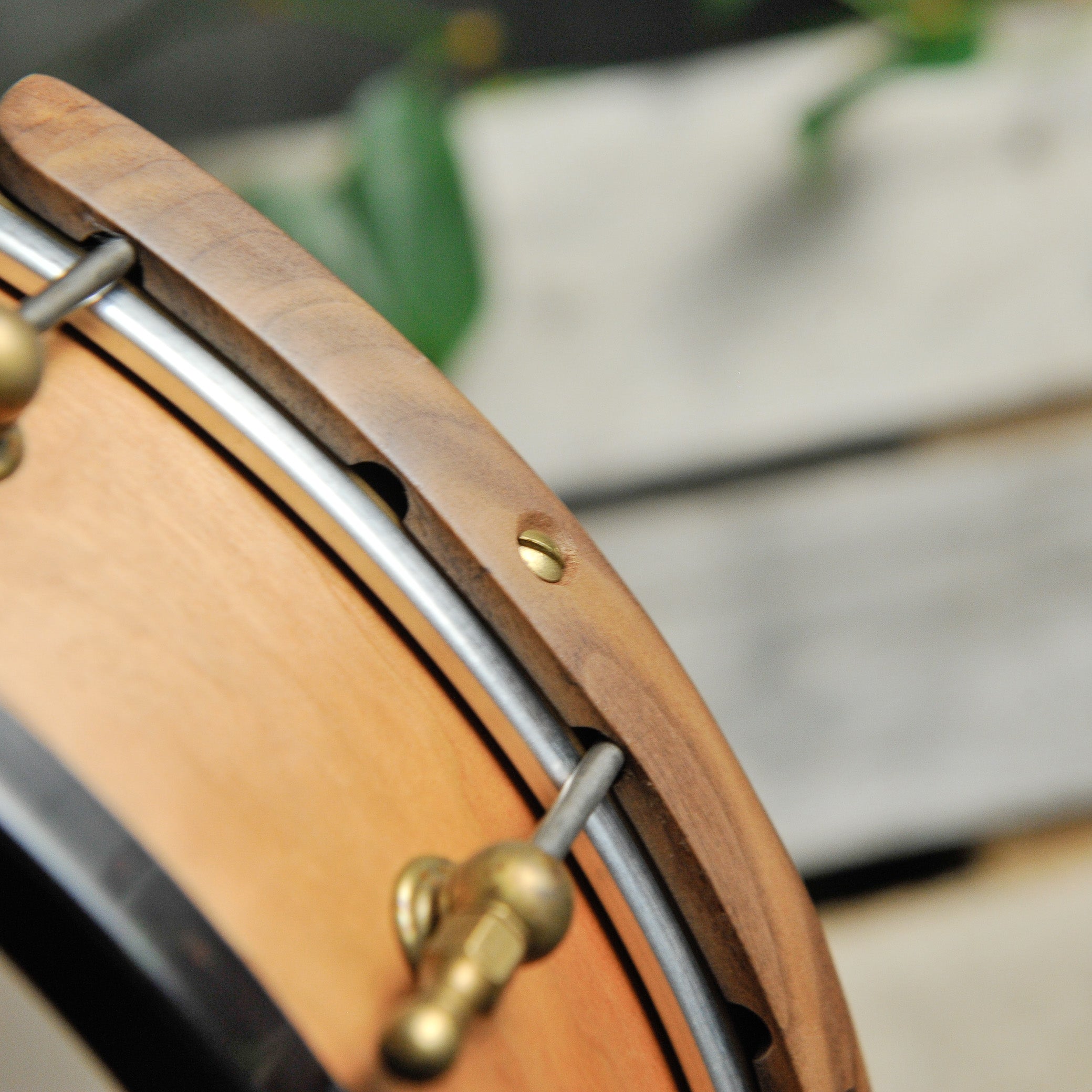 Ome Tupelo 12" 5-String Open Back Banjo