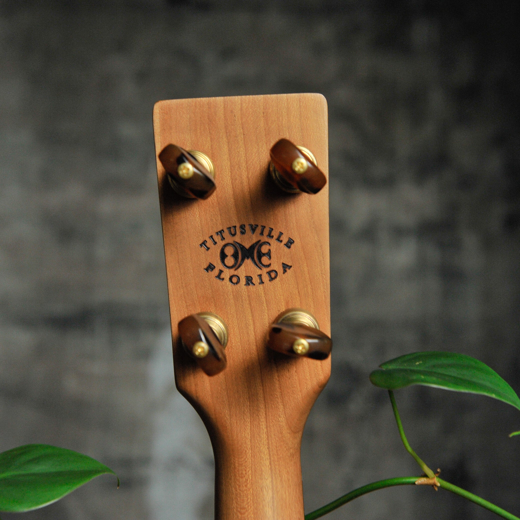 Ome Tupelo 12" 5-String Open Back Banjo