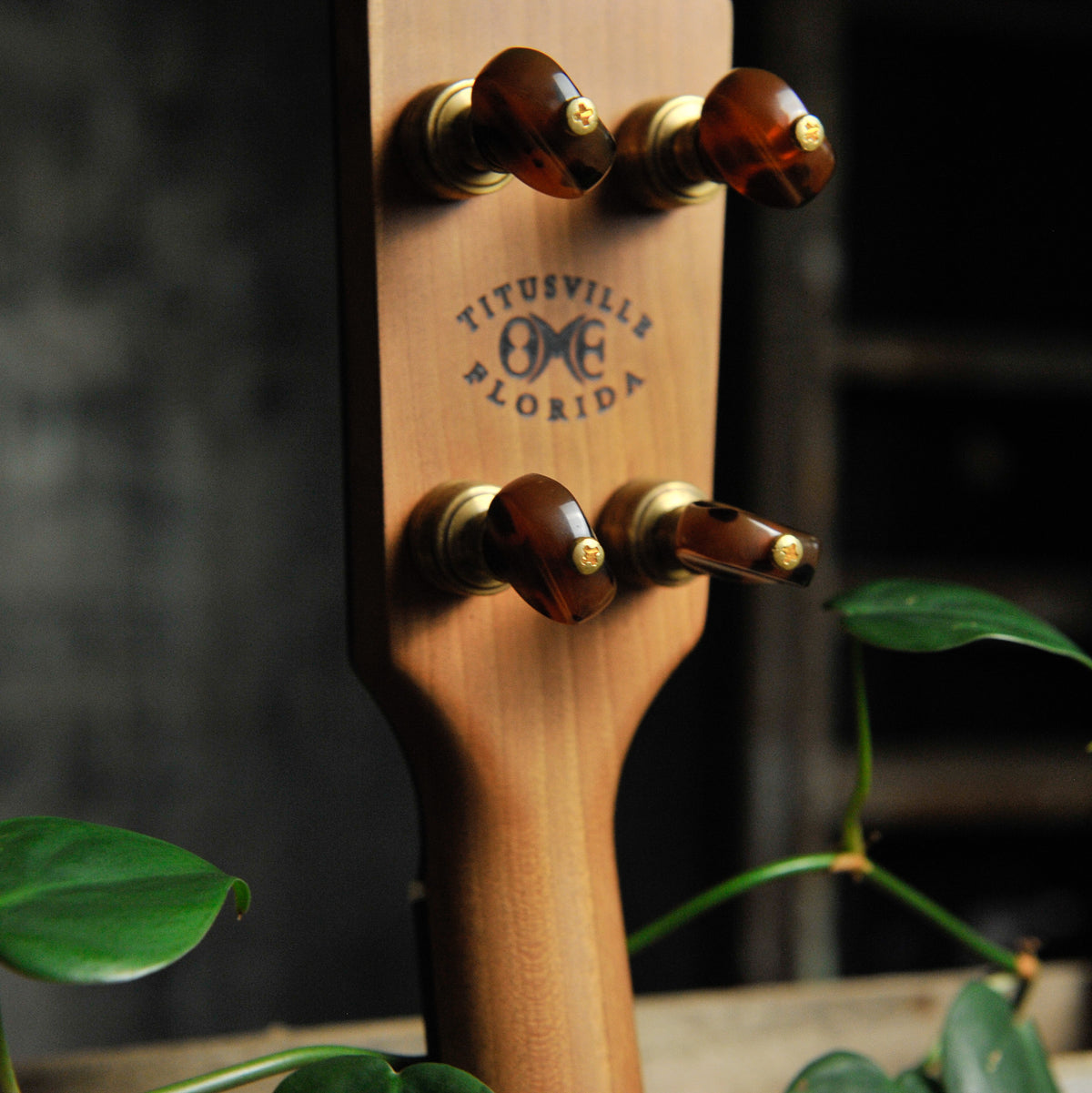 Ome Tupelo 12" 5-String Open Back Banjo