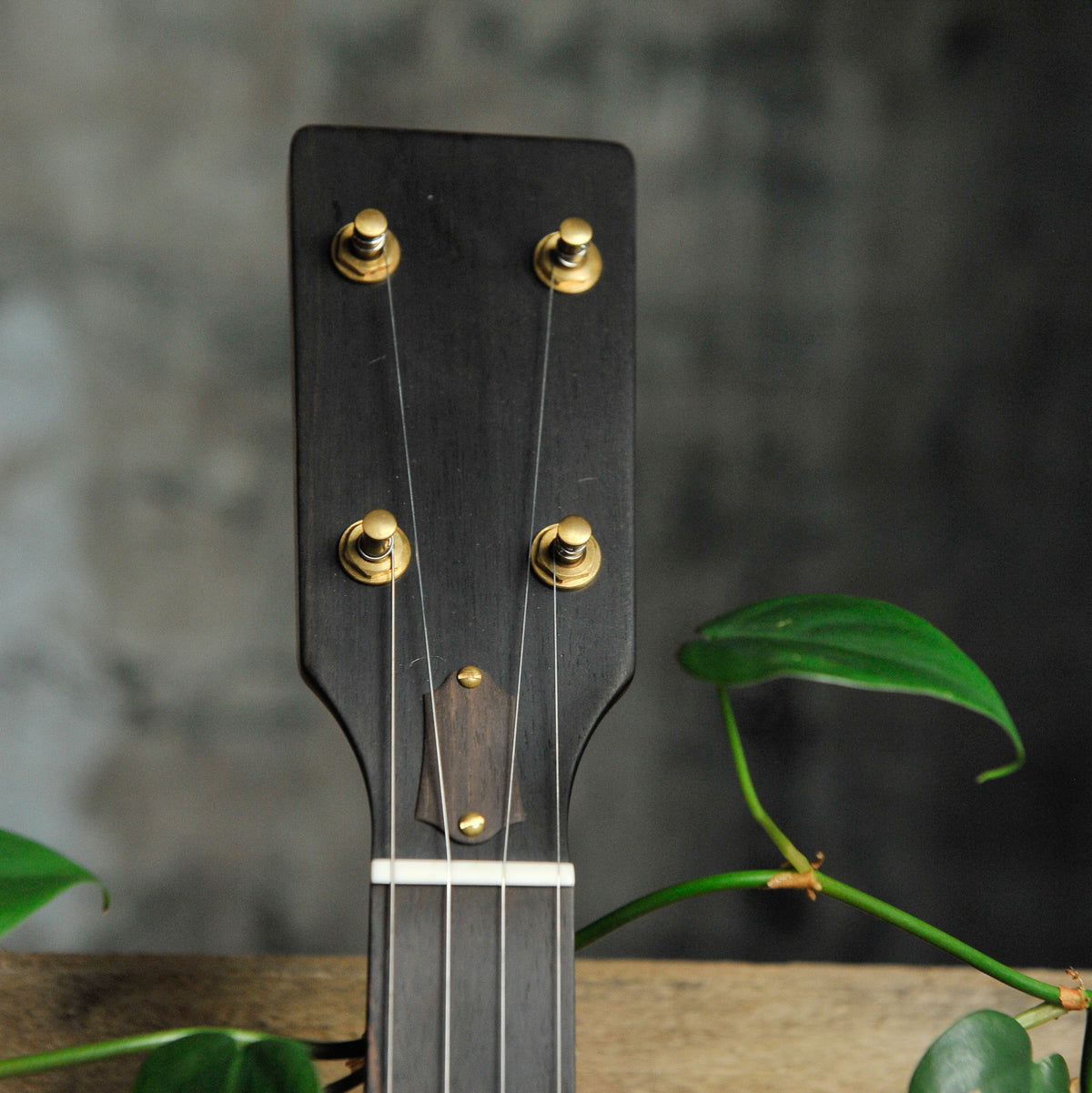Ome Tupelo 12" 5-String Open Back Banjo