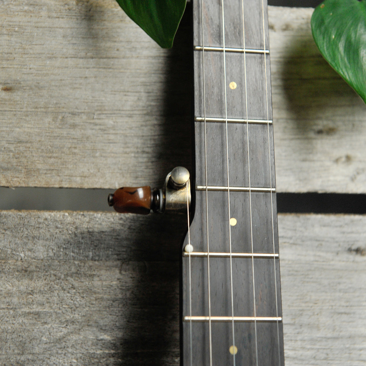 Ome Tupelo 12" 5-String Open Back Banjo
