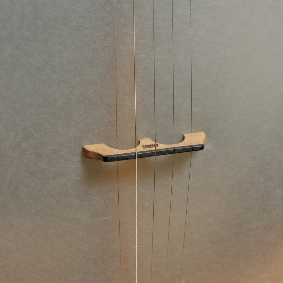 Ome Tupelo 12" 5-String Open Back Banjo