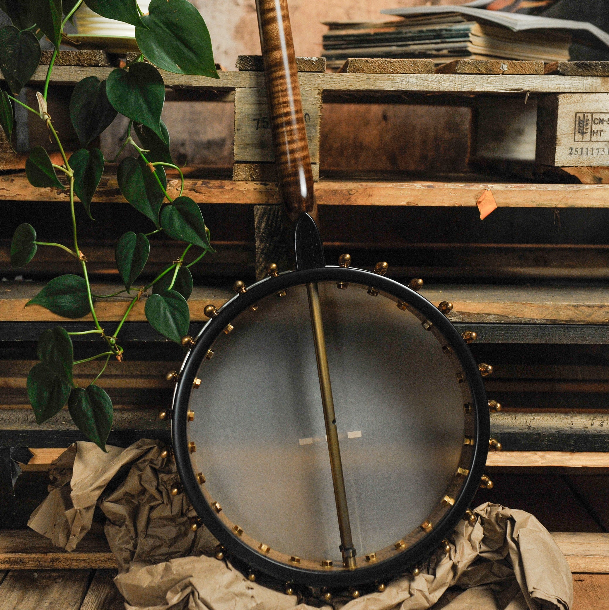 Ome Wicklow 12" 4-String Open Back Tenor Banjo #226-076