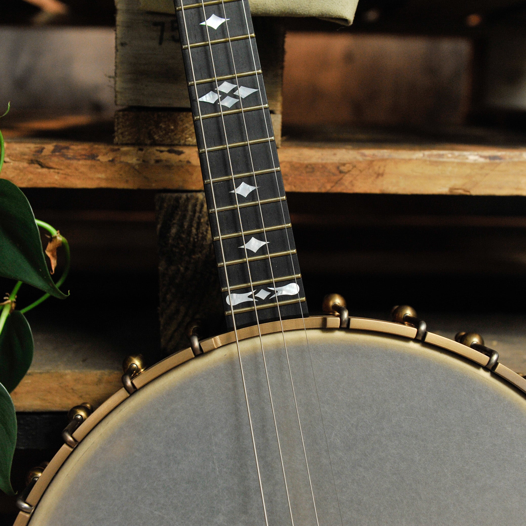 Ome Wicklow 12" 4-String Open Back Tenor Banjo #226-076