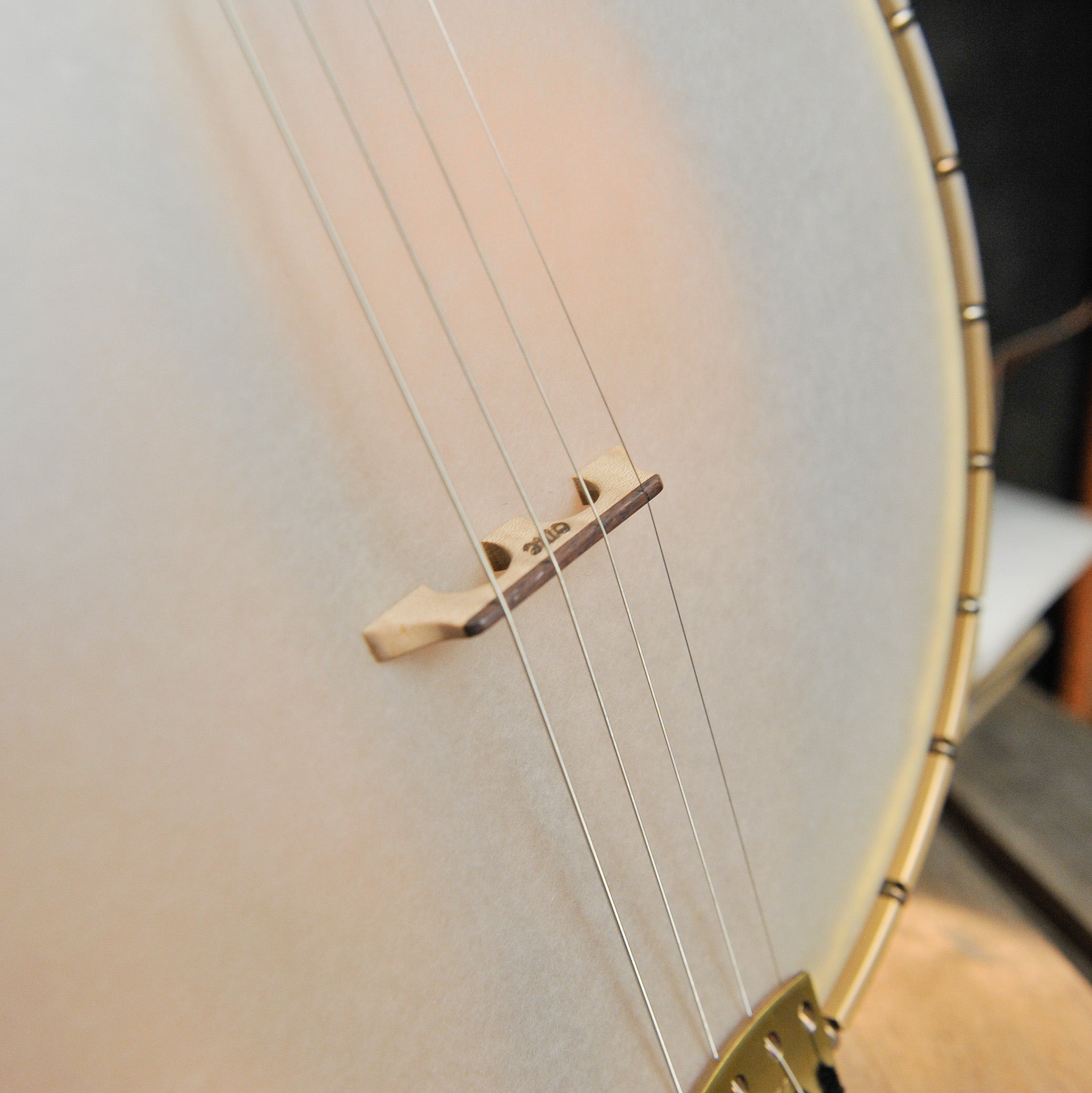 Ome Wicklow 12" 4-String Open Back Tenor Banjo #226-076
