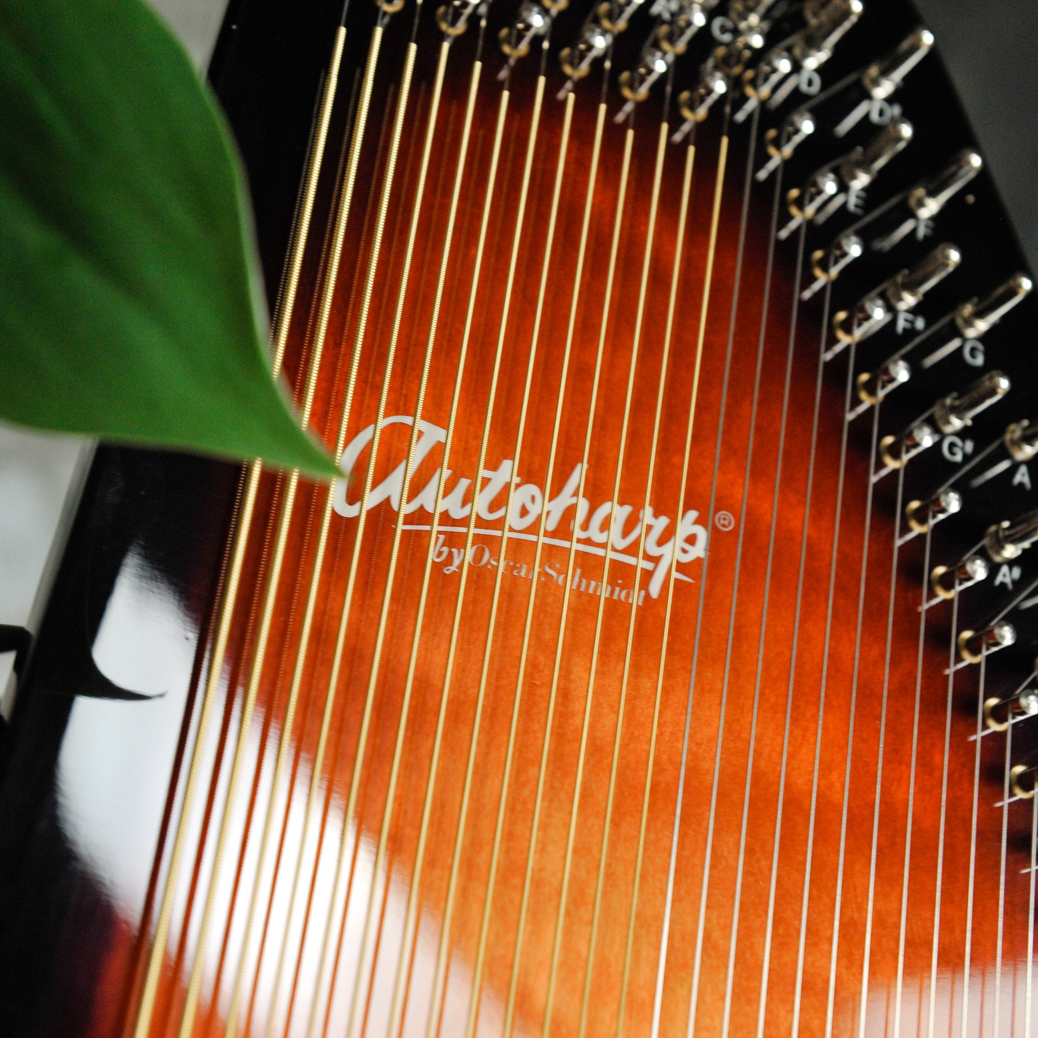 Oscar Schmidt OS21C Autoharp