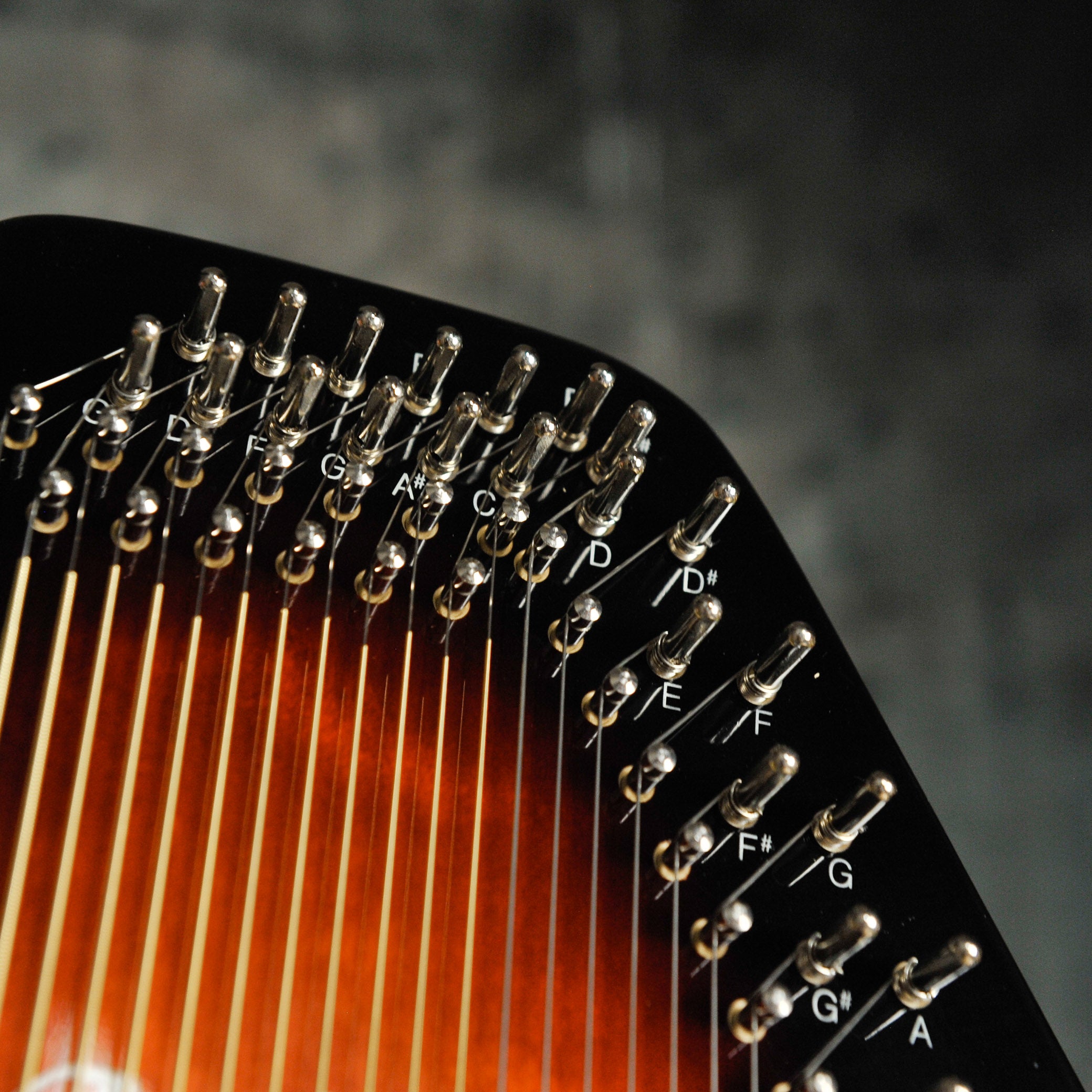 Oscar Schmidt OS21C Autoharp