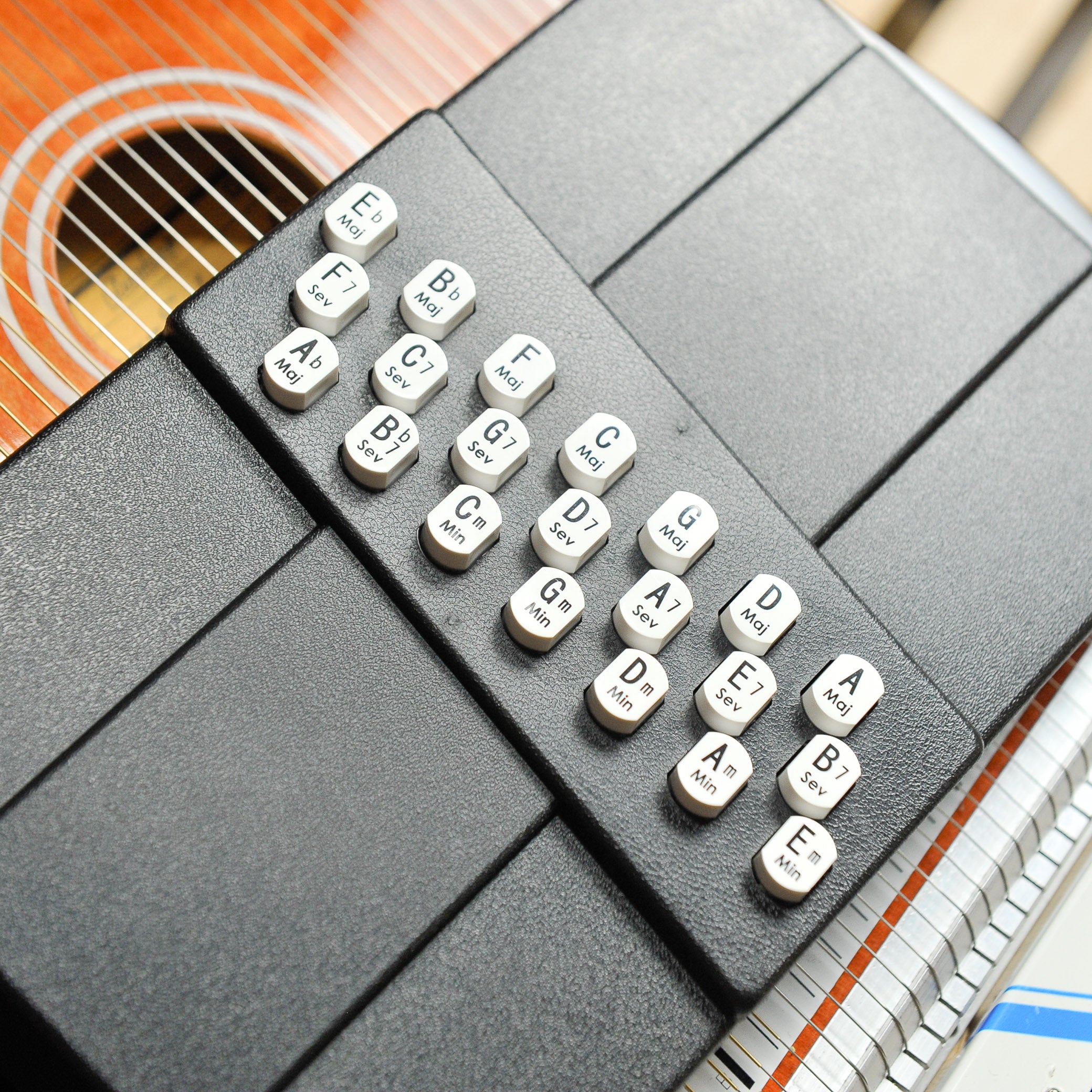Oscar Schmidt OS21C Autoharp