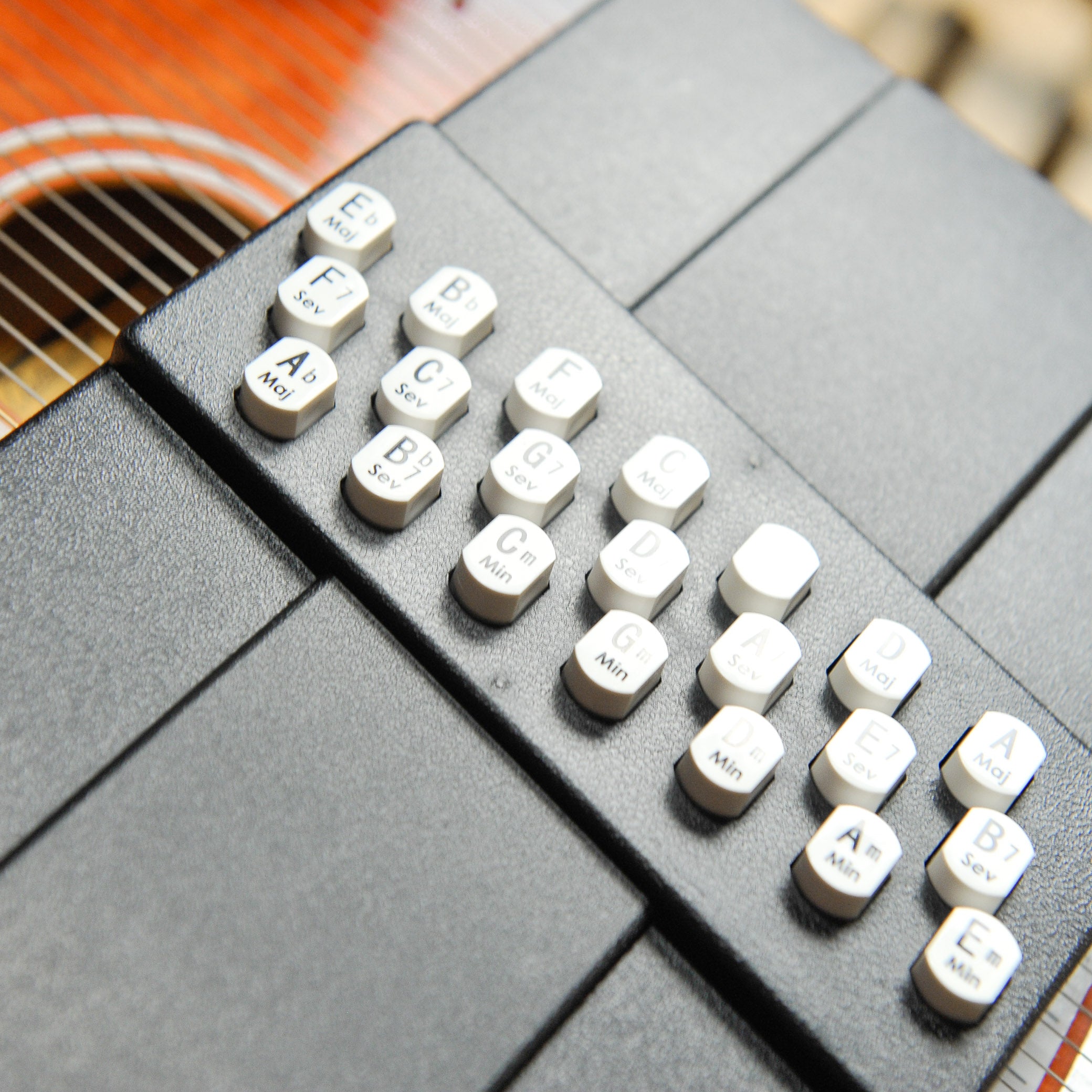 Oscar Schmidt OS21C Autoharp