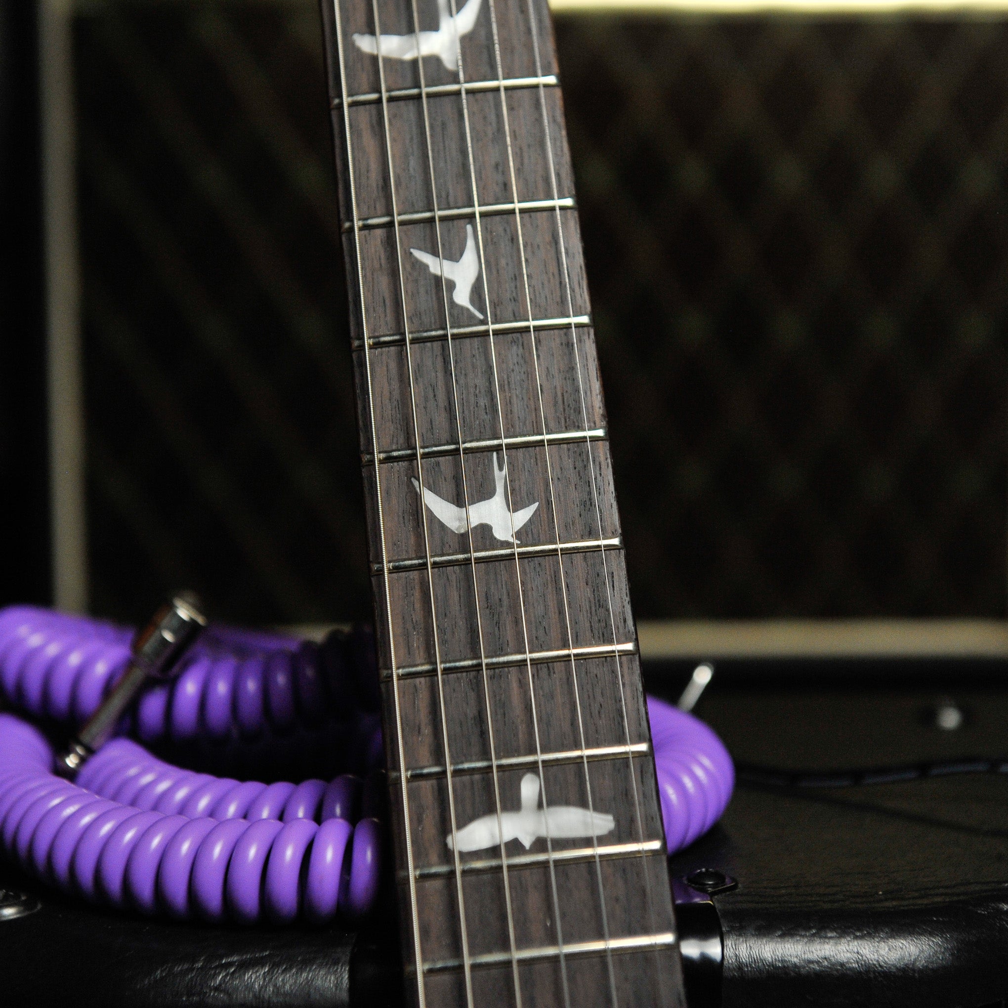 PRS SE CE24 Quilt Top Charcoal Top, Dog Hair Swamp Ash Back w/Bag