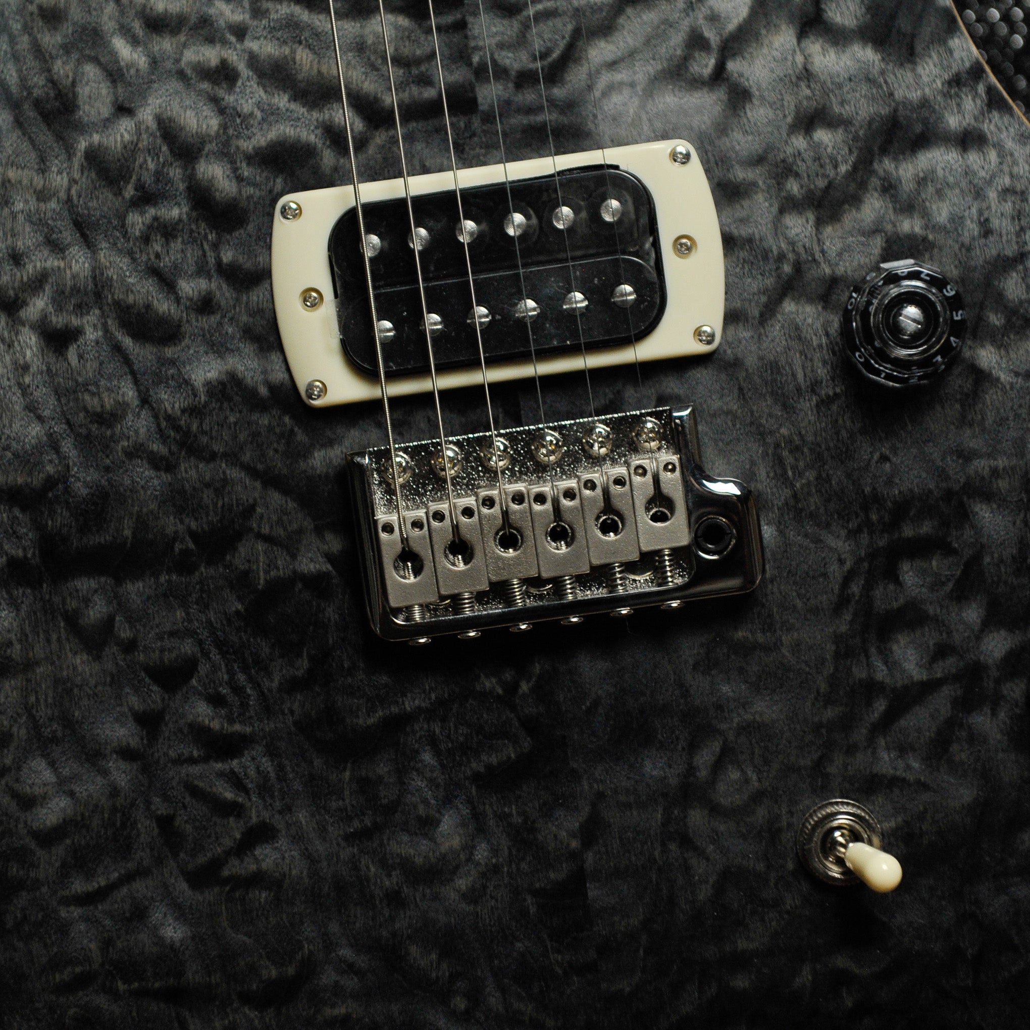 PRS SE CE24 Quilt Top Charcoal Top, Dog Hair Swamp Ash Back w/Bag
