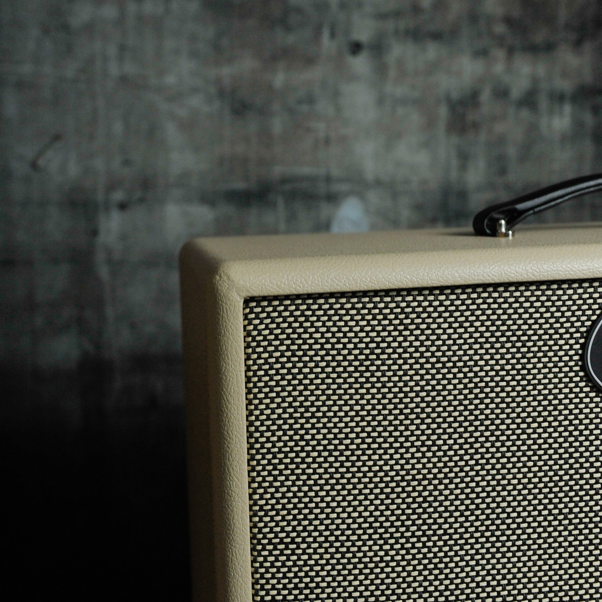 PRS DGT 1x12 Celestion Vintage 30 Cabinet