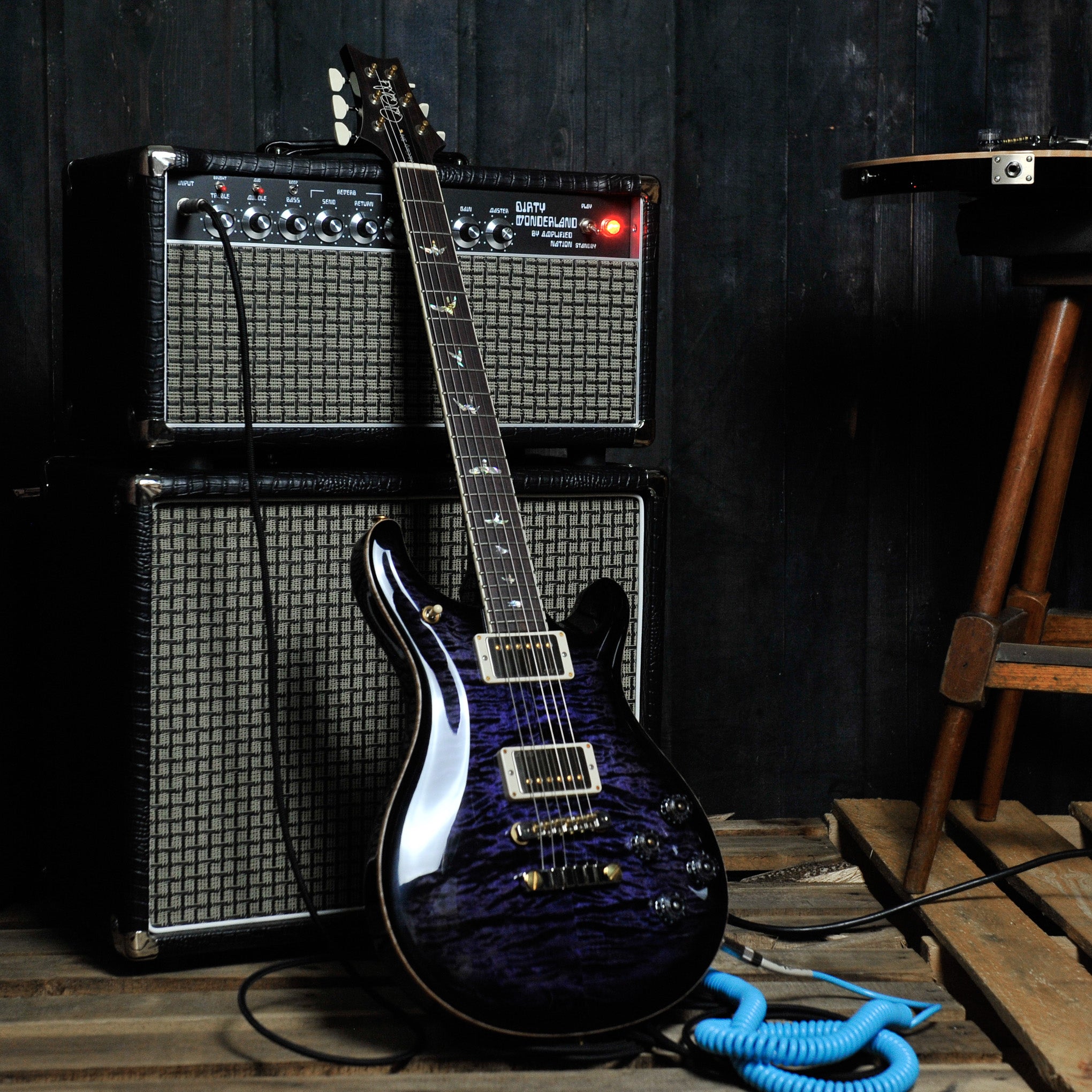 PRS McCarty 594 10 Top, Purple Mist