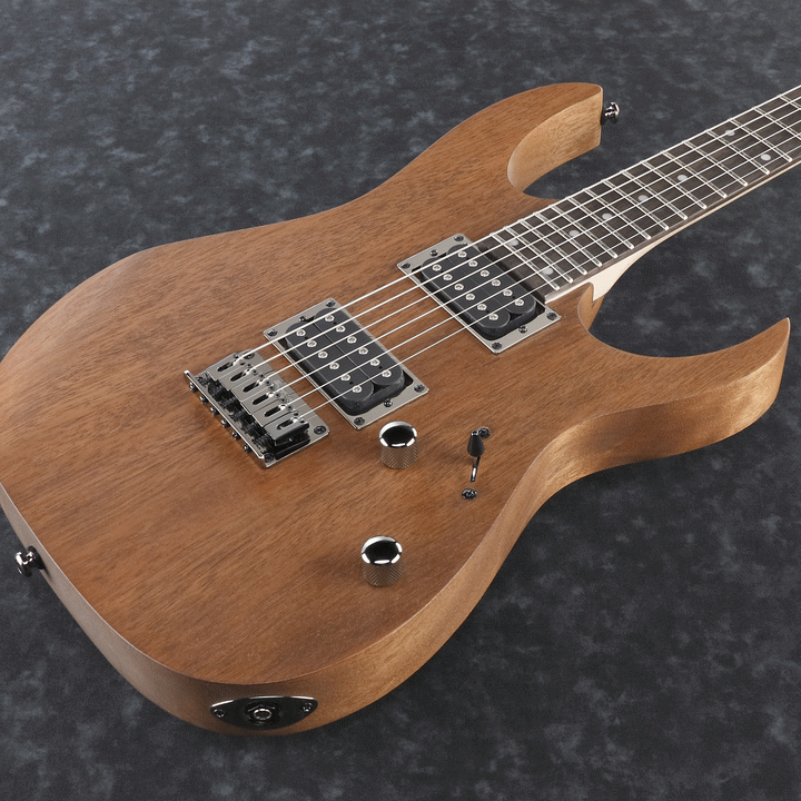 Ibanez RG421 MOL Electric Guitar