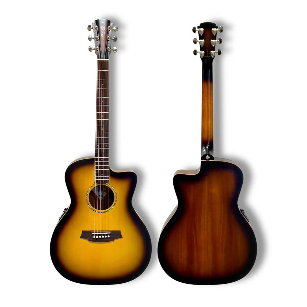 Cole Clark Studio AN1EC Spruce Mahogany Sunburst w/Bag