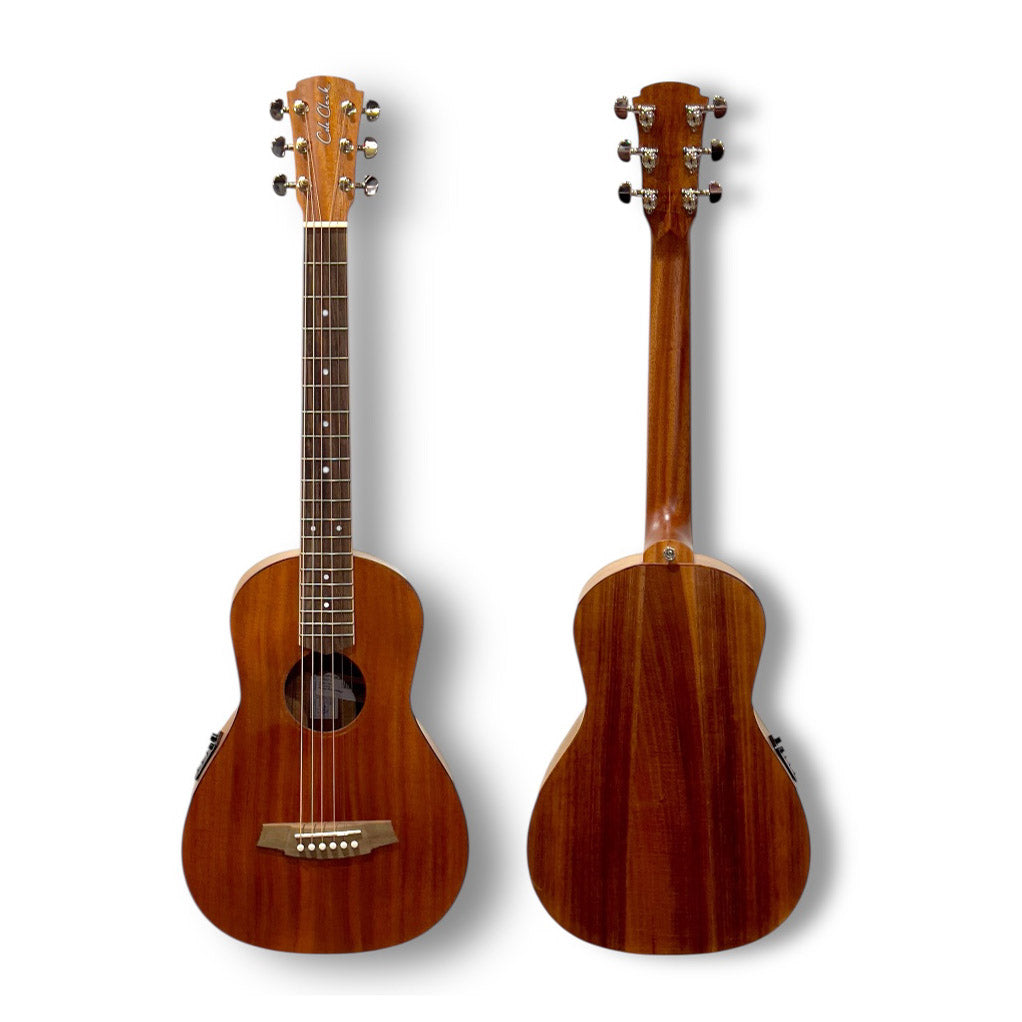 Cole Clark Studio SP1E-BLBL Parlour All Blackwood w/Bag