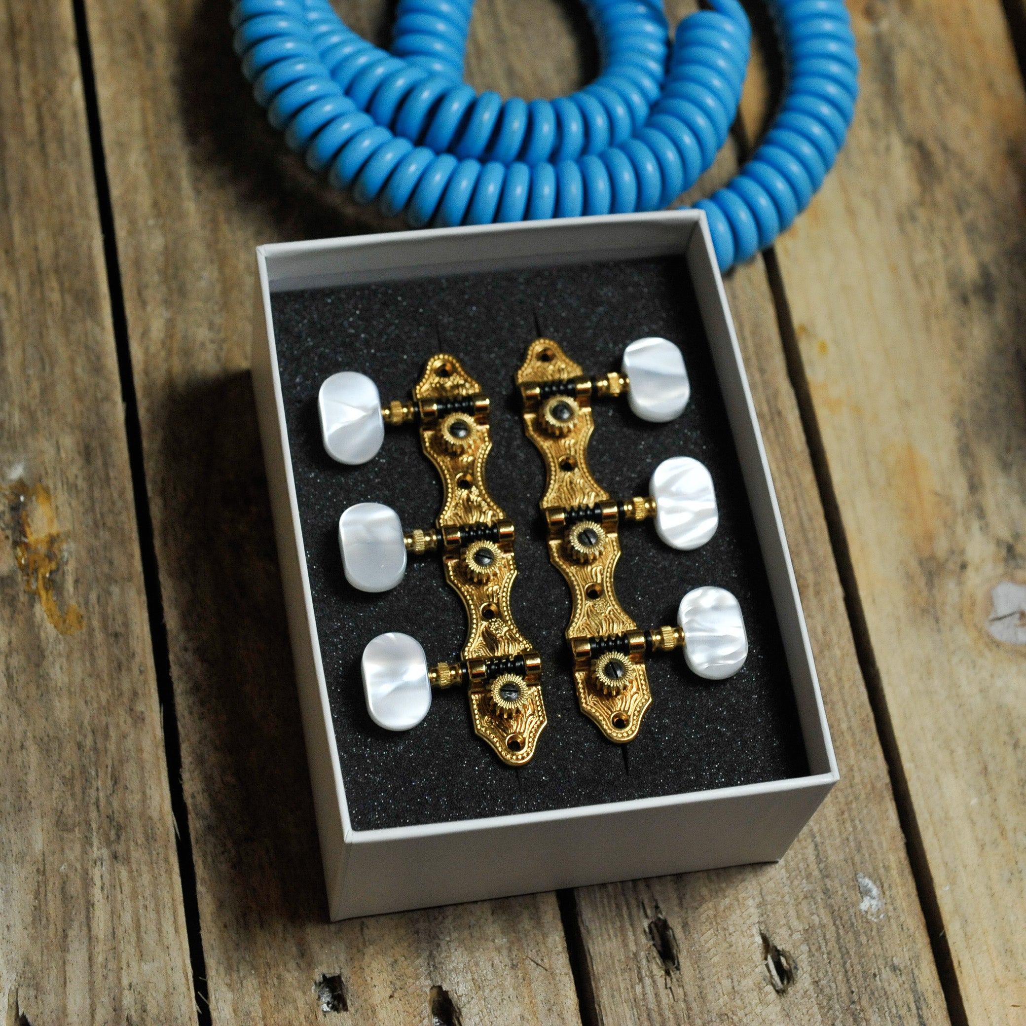 Schaller Classical Machine Head HG1 Hauser/Gold/Acrylic Buttons
