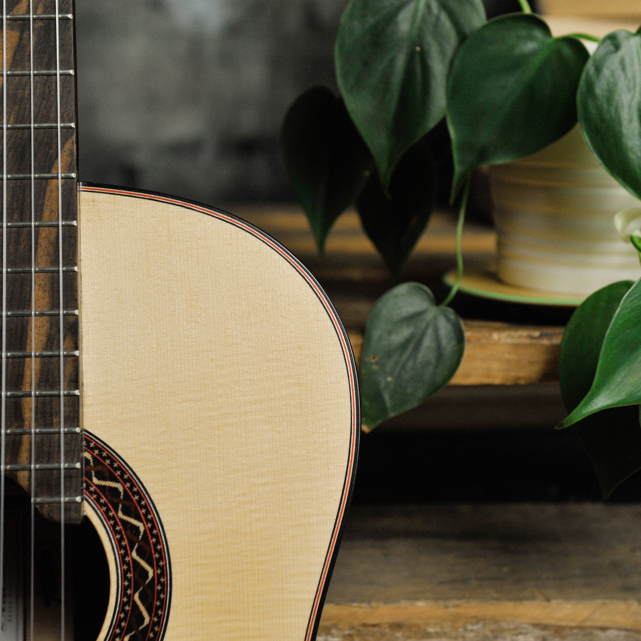 Steve Toscano Concert Classical Padauk Spruce w/Case