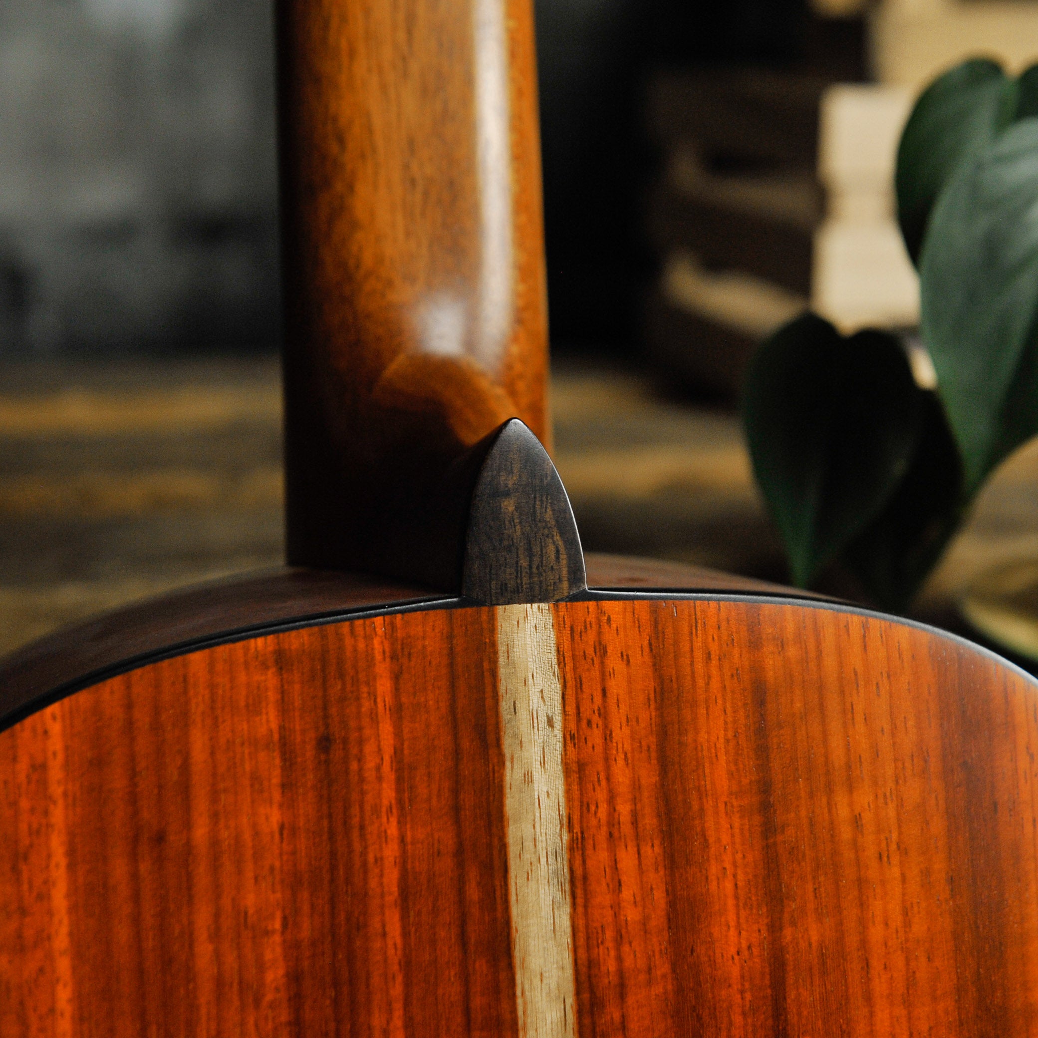 Steve Toscano Concert Classical Padauk Spruce w/Case