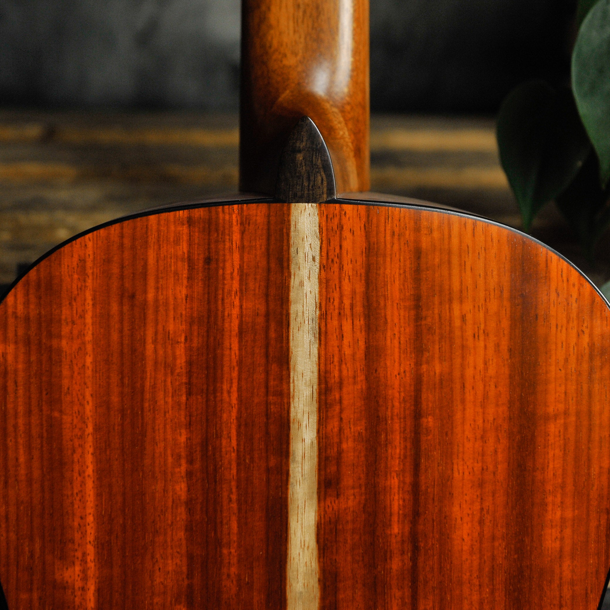 Steve Toscano Concert Classical Padauk Spruce w/Case