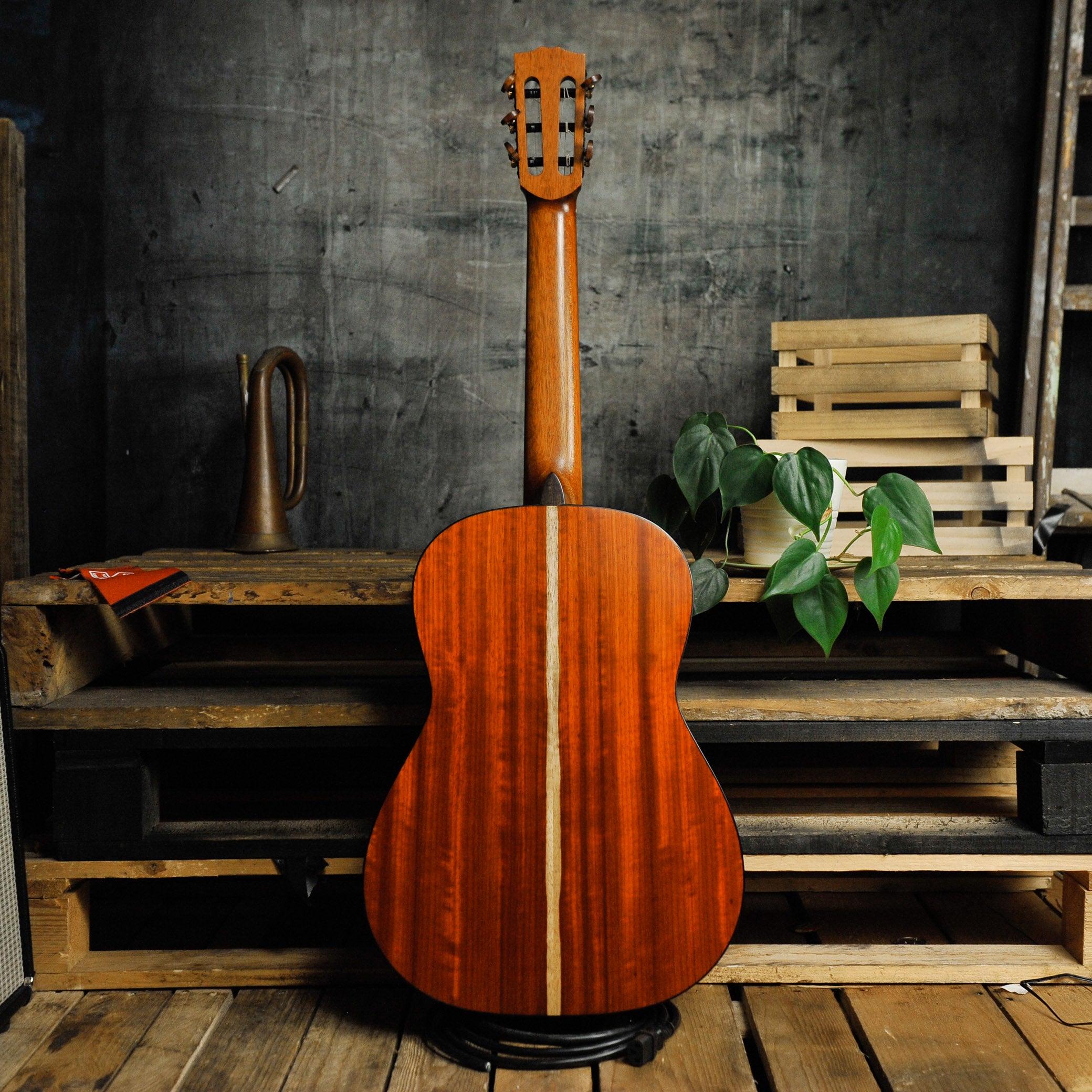 Steve Toscano Concert Classical Padauk Spruce w/Case