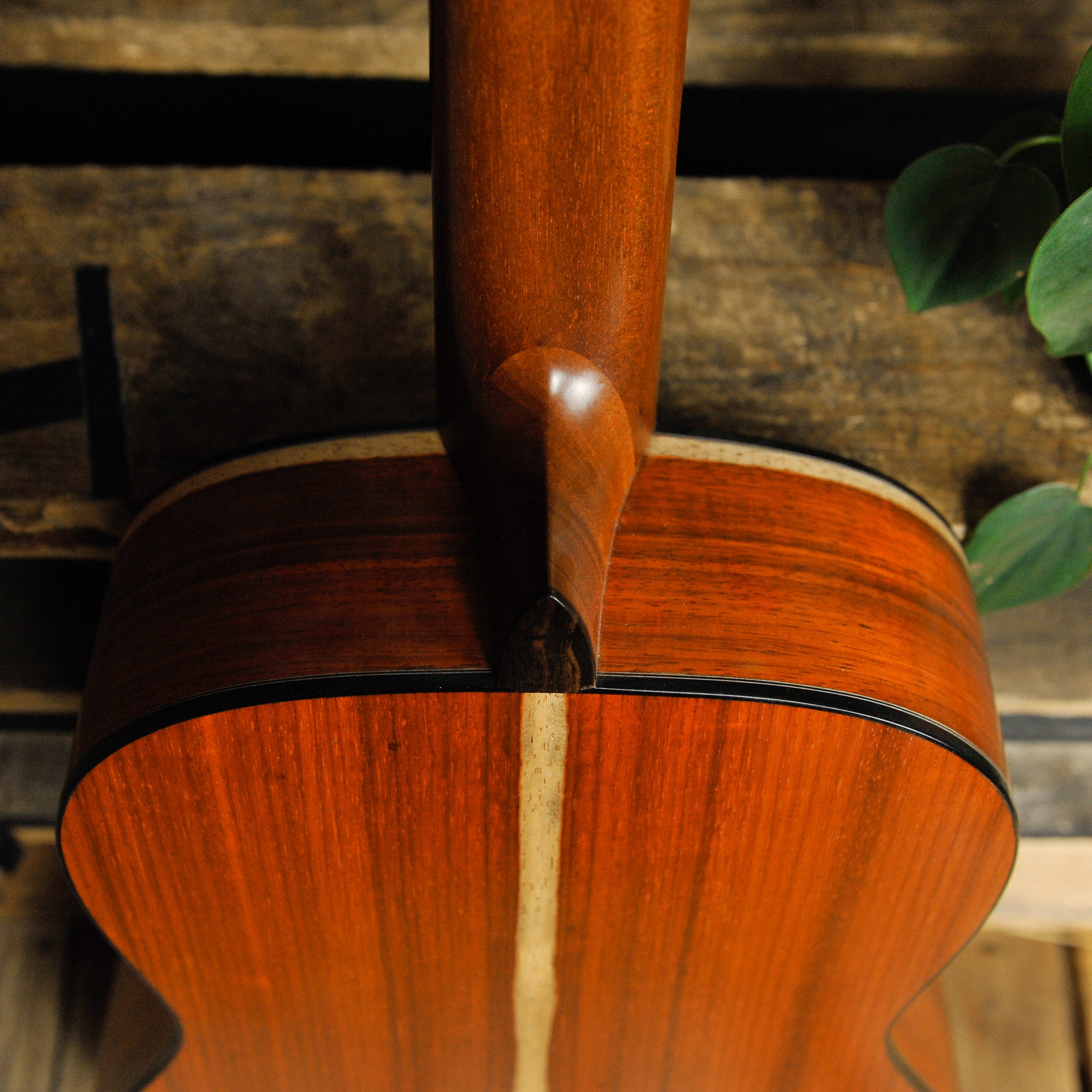 Steve Toscano Concert Classical Padauk Spruce w/Case