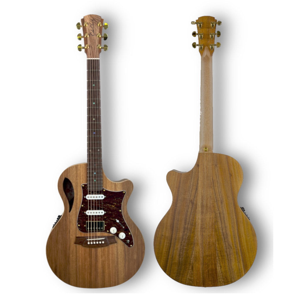Cole Clark TL2EC Thin Line All Blackwood HSS