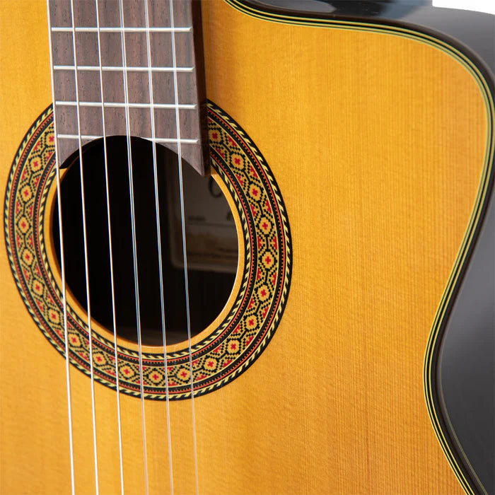 Takamine TEC132SC Pro Series Classical Electric Guitar w/Case