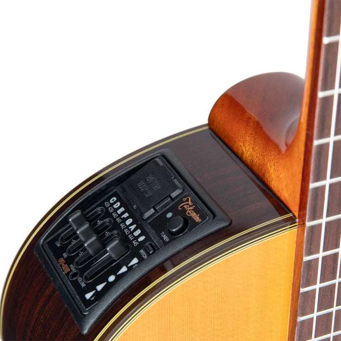 Takamine TEC132SC Pro Series Classical Electric Guitar w/Case