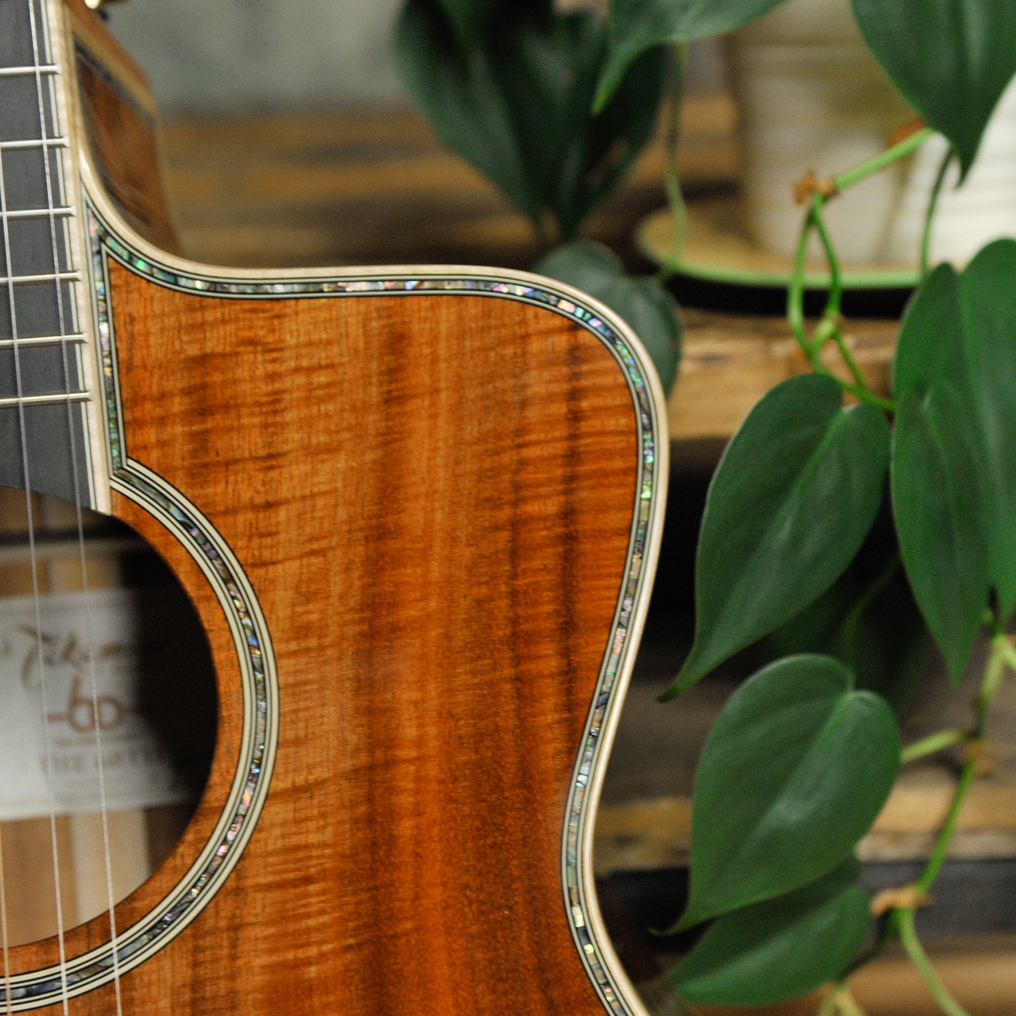 Takamine The 60th Anniversary LTD Acoustic Guitar w/Case