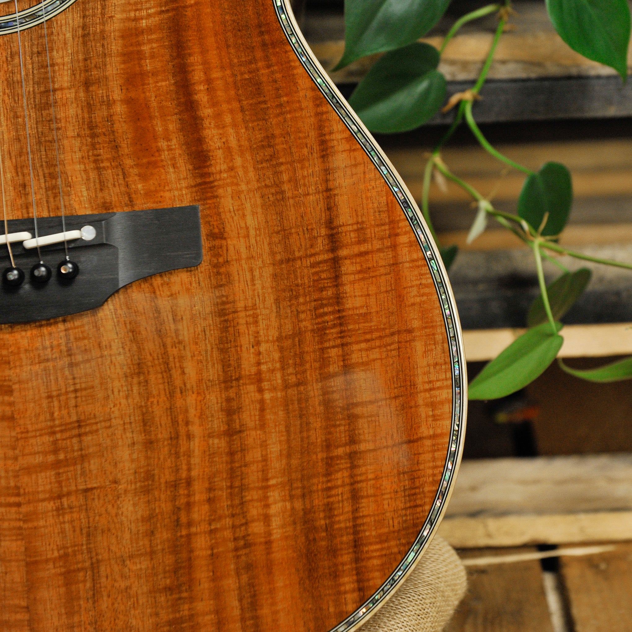 Takamine The 60th Anniversary LTD Acoustic Guitar w/Case