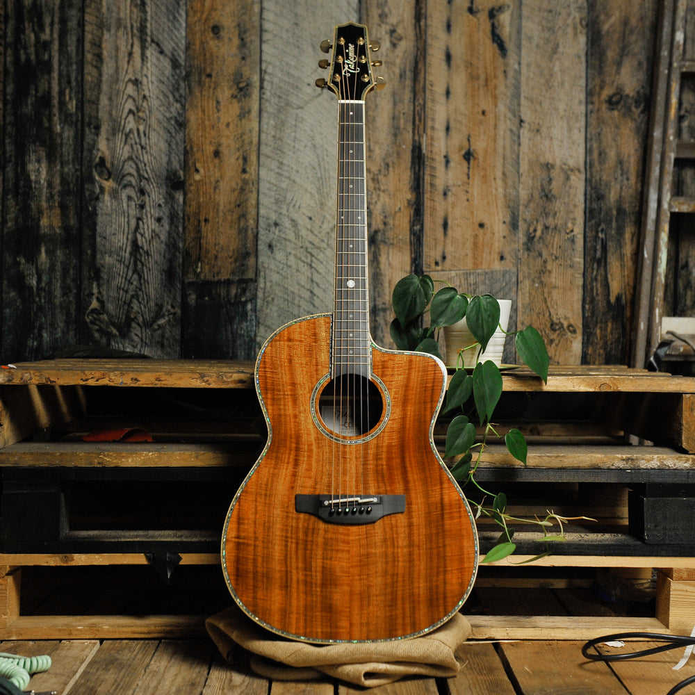 Takamine The 60th Anniversary LTD Acoustic Guitar w/Case