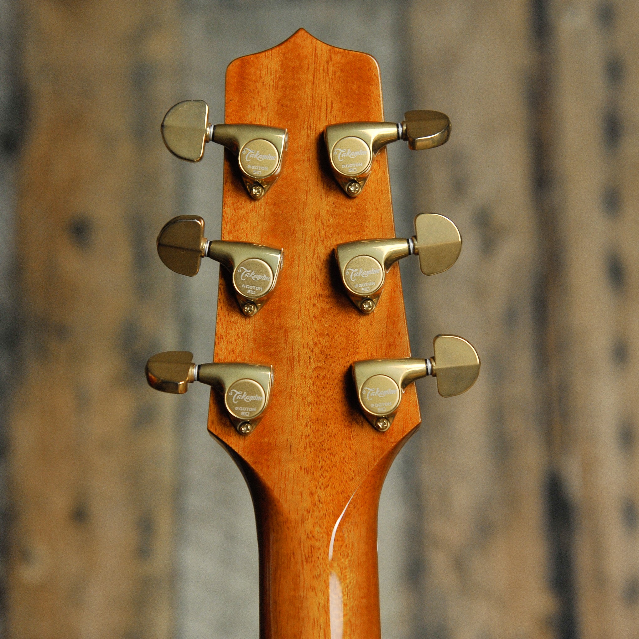 Takamine The 60th Anniversary LTD Acoustic Guitar w/Case